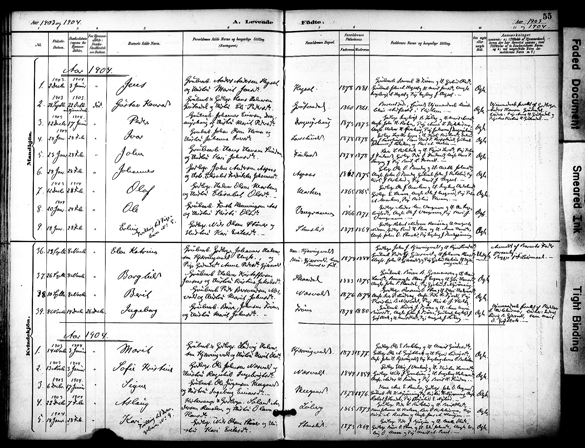 Ministerialprotokoller, klokkerbøker og fødselsregistre - Sør-Trøndelag, SAT/A-1456/686/L0984: Parish register (official) no. 686A02, 1891-1906, p. 55