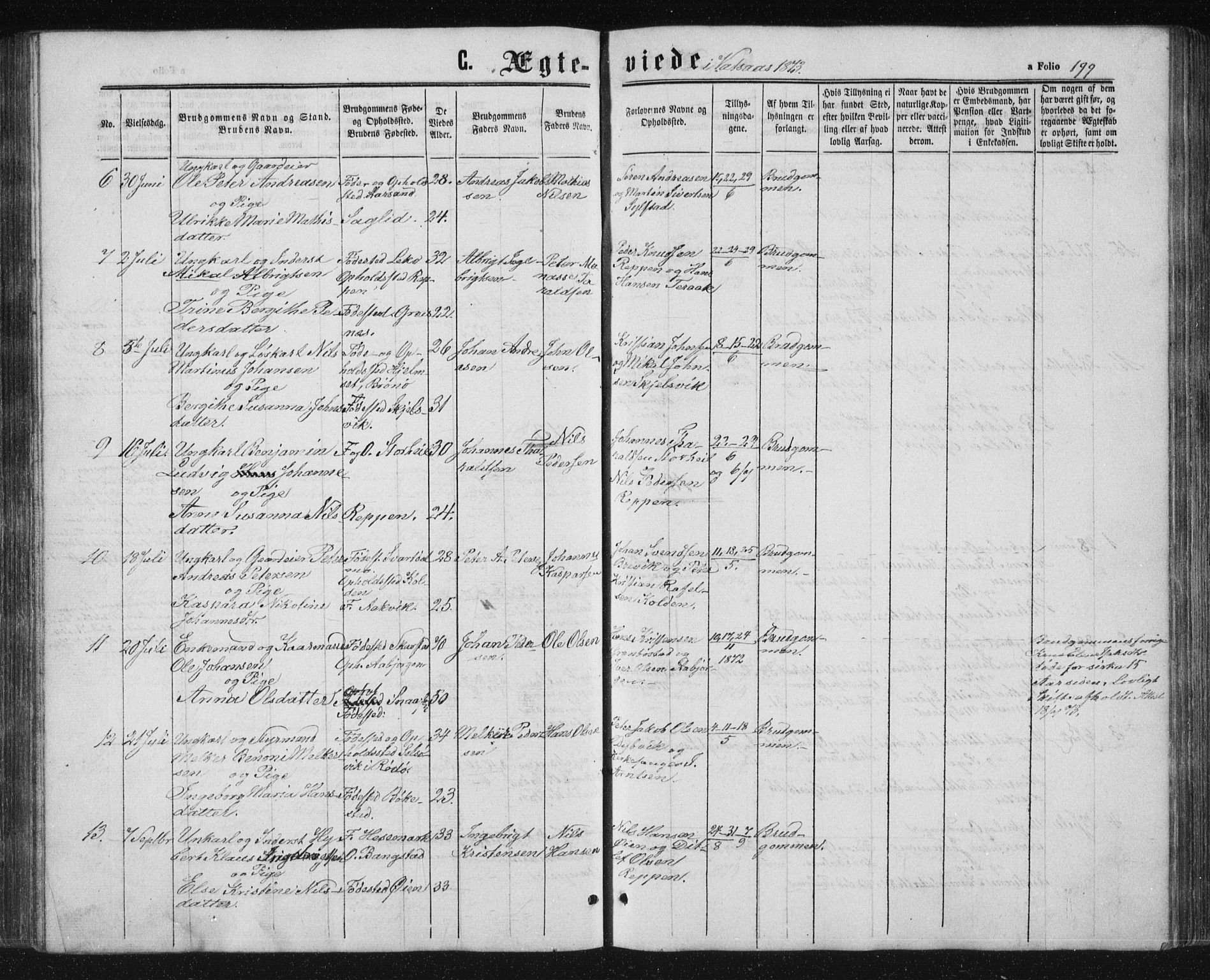 Ministerialprotokoller, klokkerbøker og fødselsregistre - Nordland, AV/SAT-A-1459/810/L0158: Parish register (copy) no. 810C02 /1, 1863-1883, p. 199