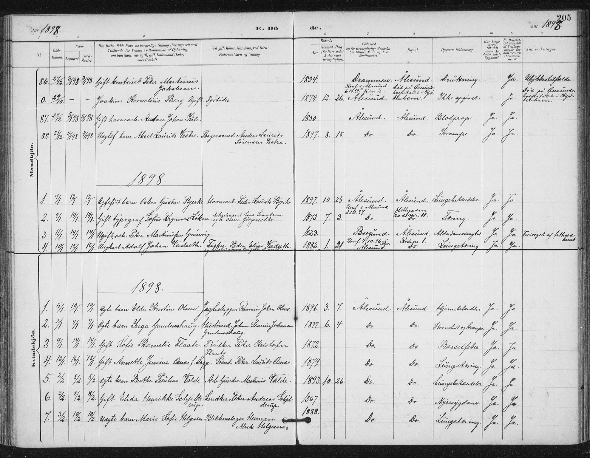Ministerialprotokoller, klokkerbøker og fødselsregistre - Møre og Romsdal, SAT/A-1454/529/L0457: Parish register (official) no. 529A07, 1894-1903, p. 205