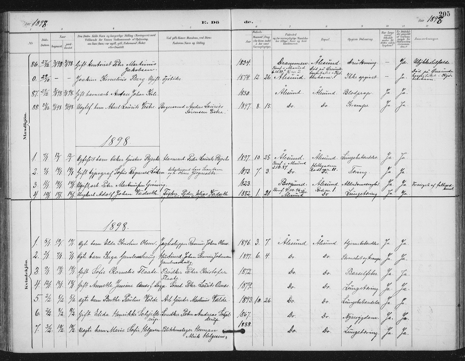 Ministerialprotokoller, klokkerbøker og fødselsregistre - Møre og Romsdal, AV/SAT-A-1454/529/L0457: Parish register (official) no. 529A07, 1894-1903, p. 205