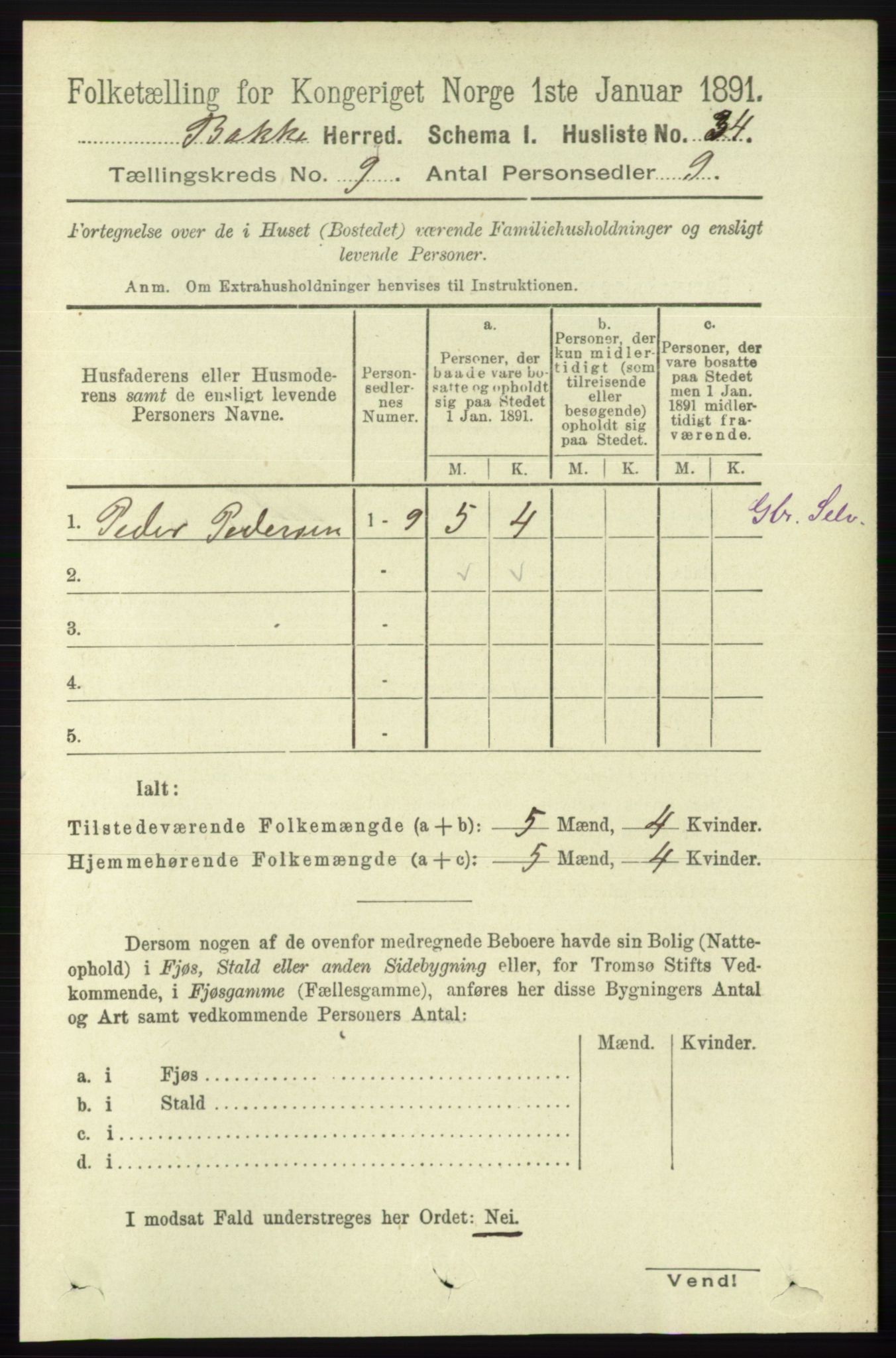 RA, 1891 census for 1045 Bakke, 1891, p. 1747