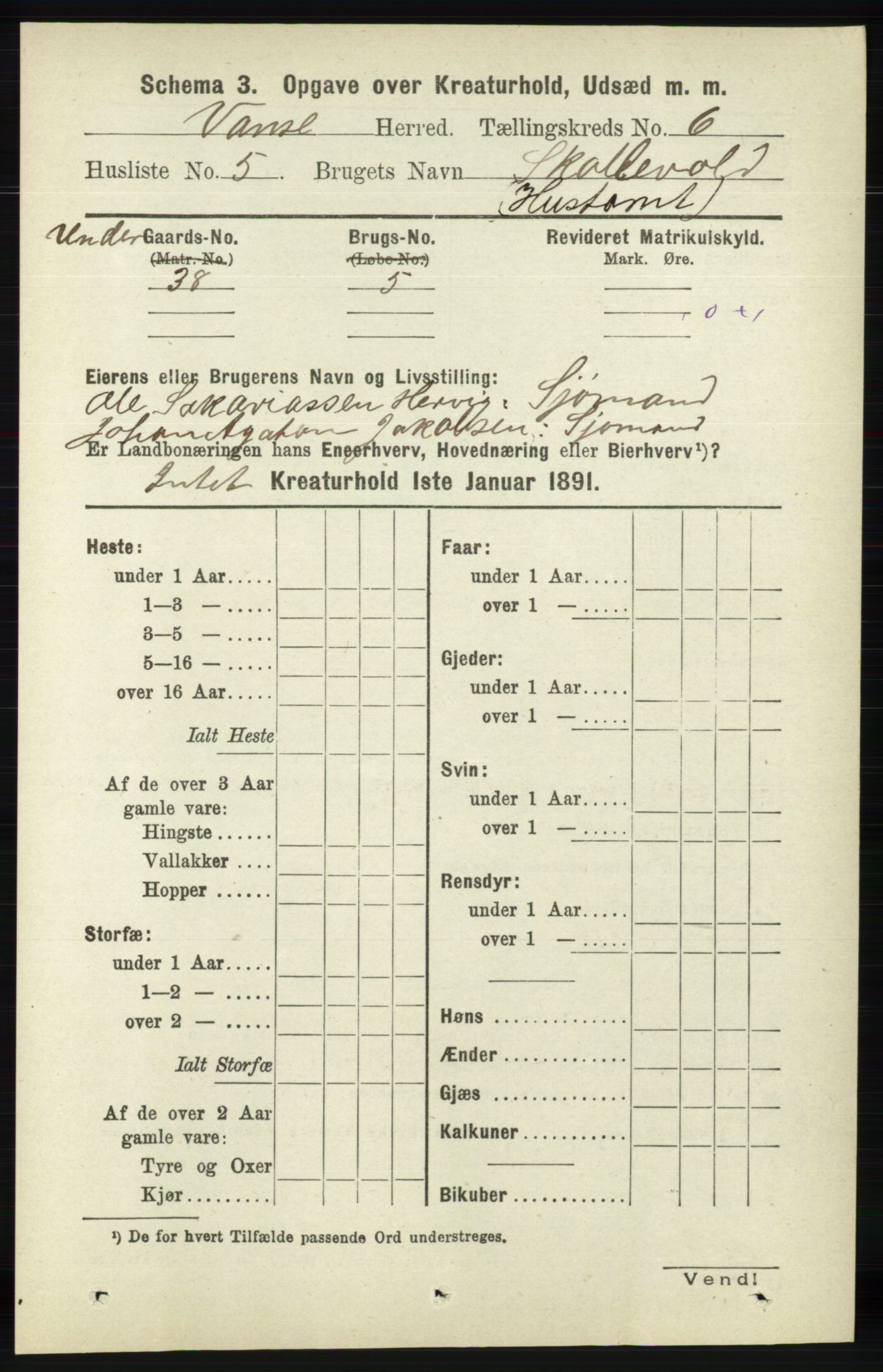 RA, 1891 census for 1041 Vanse, 1891, p. 8973