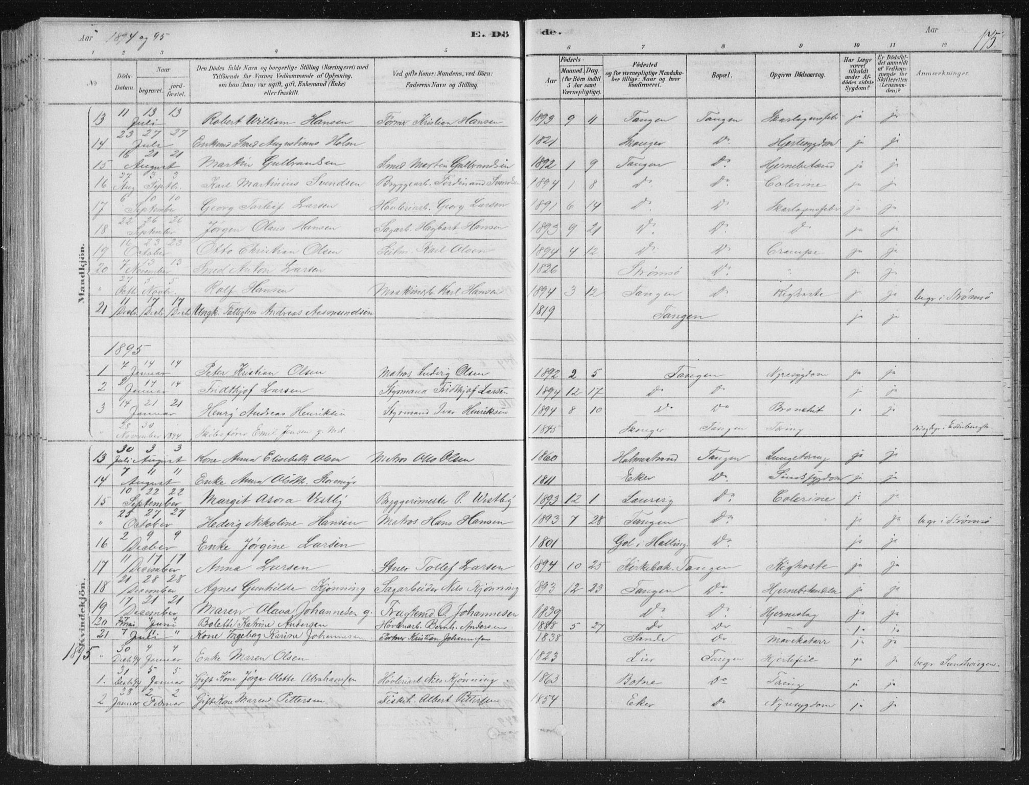 Strømsø kirkebøker, SAKO/A-246/F/Fb/L0005: Parish register (official) no. II 5, 1877-1902, p. 175