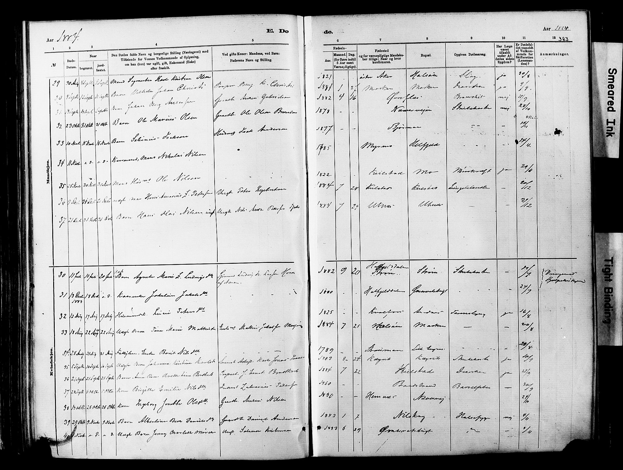 Ministerialprotokoller, klokkerbøker og fødselsregistre - Nordland, SAT/A-1459/820/L0295: Parish register (official) no. 820A16, 1880-1896, p. 383