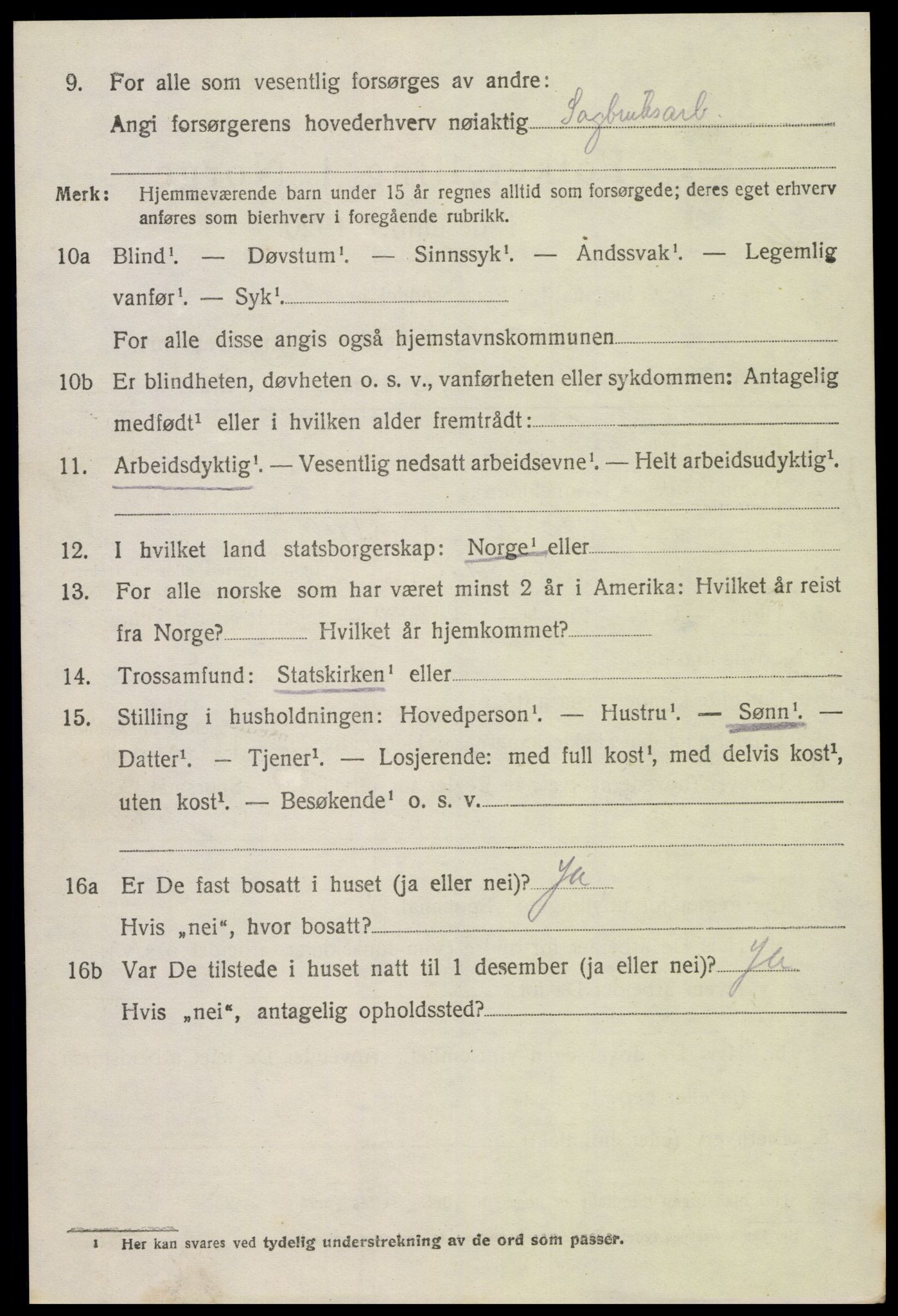 SAK, 1920 census for Hornnes, 1920, p. 2538