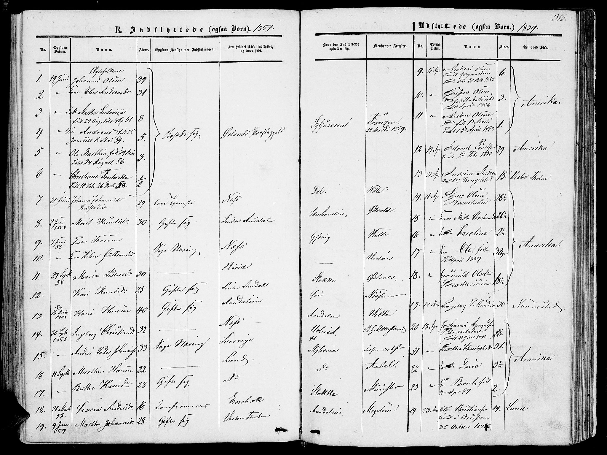 Vardal prestekontor, SAH/PREST-100/H/Ha/Hab/L0005: Parish register (copy) no. 5, 1854-1868, p. 316