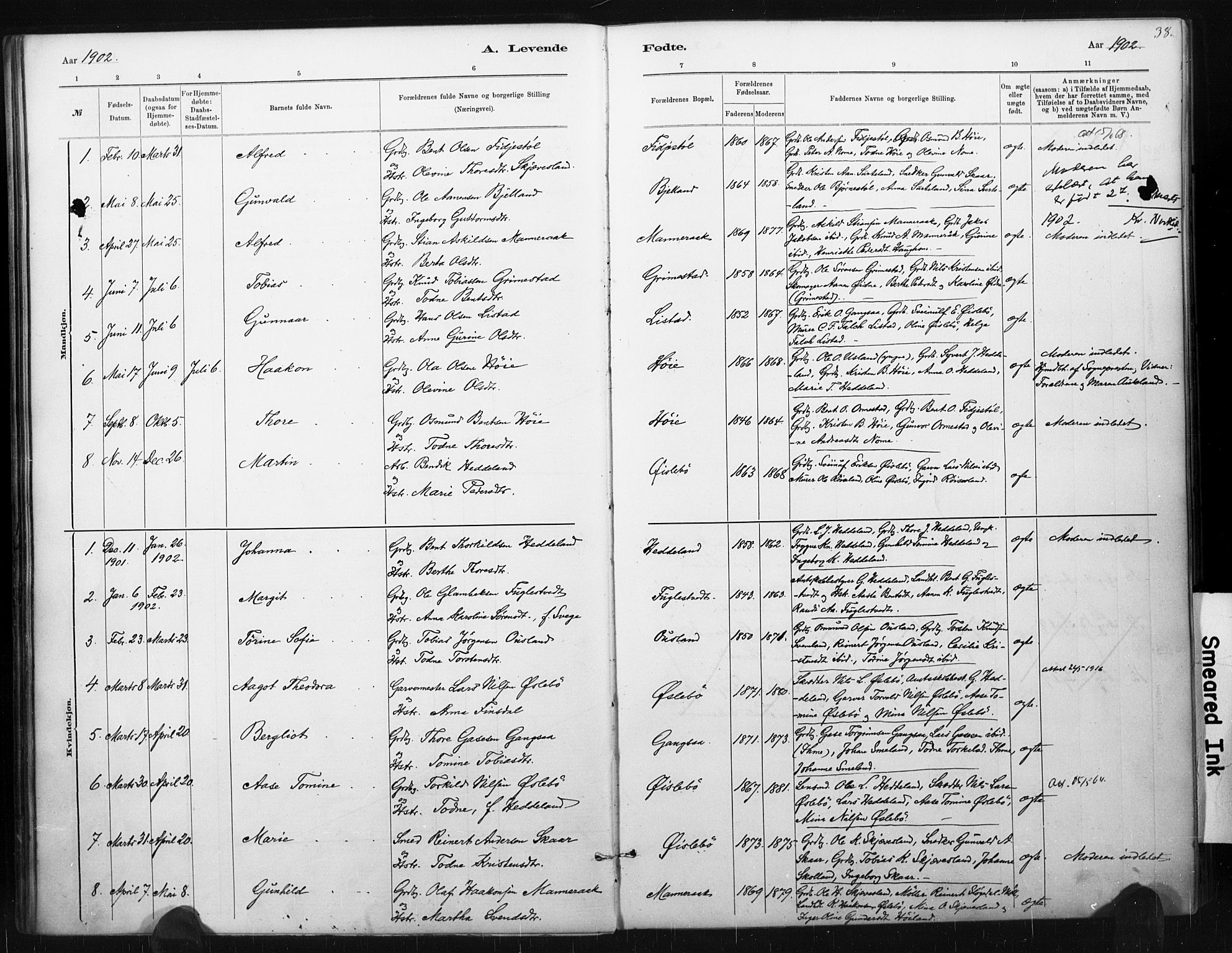 Holum sokneprestkontor, AV/SAK-1111-0022/F/Fa/Fac/L0004: Parish register (official) no. A 4, 1884-1907, p. 38