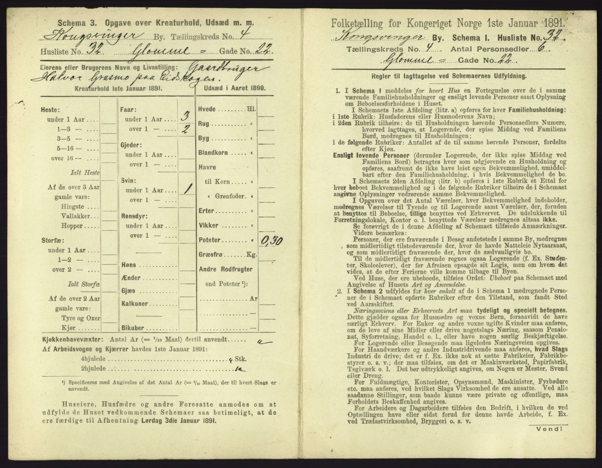 RA, 1891 census for 0402 Kongsvinger, 1891, p. 311