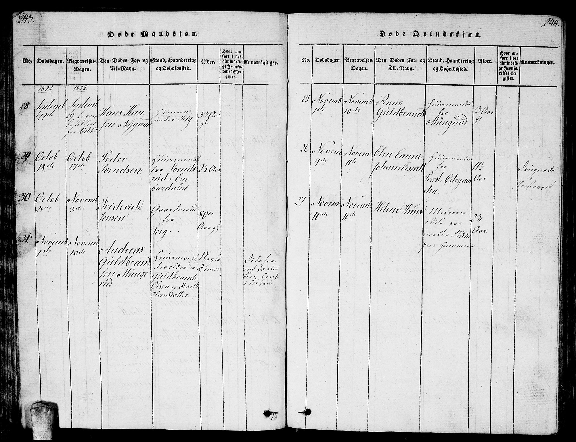 Enebakk prestekontor Kirkebøker, AV/SAO-A-10171c/G/Ga/L0001: Parish register (copy) no. I 1, 1815-1833, p. 243-244