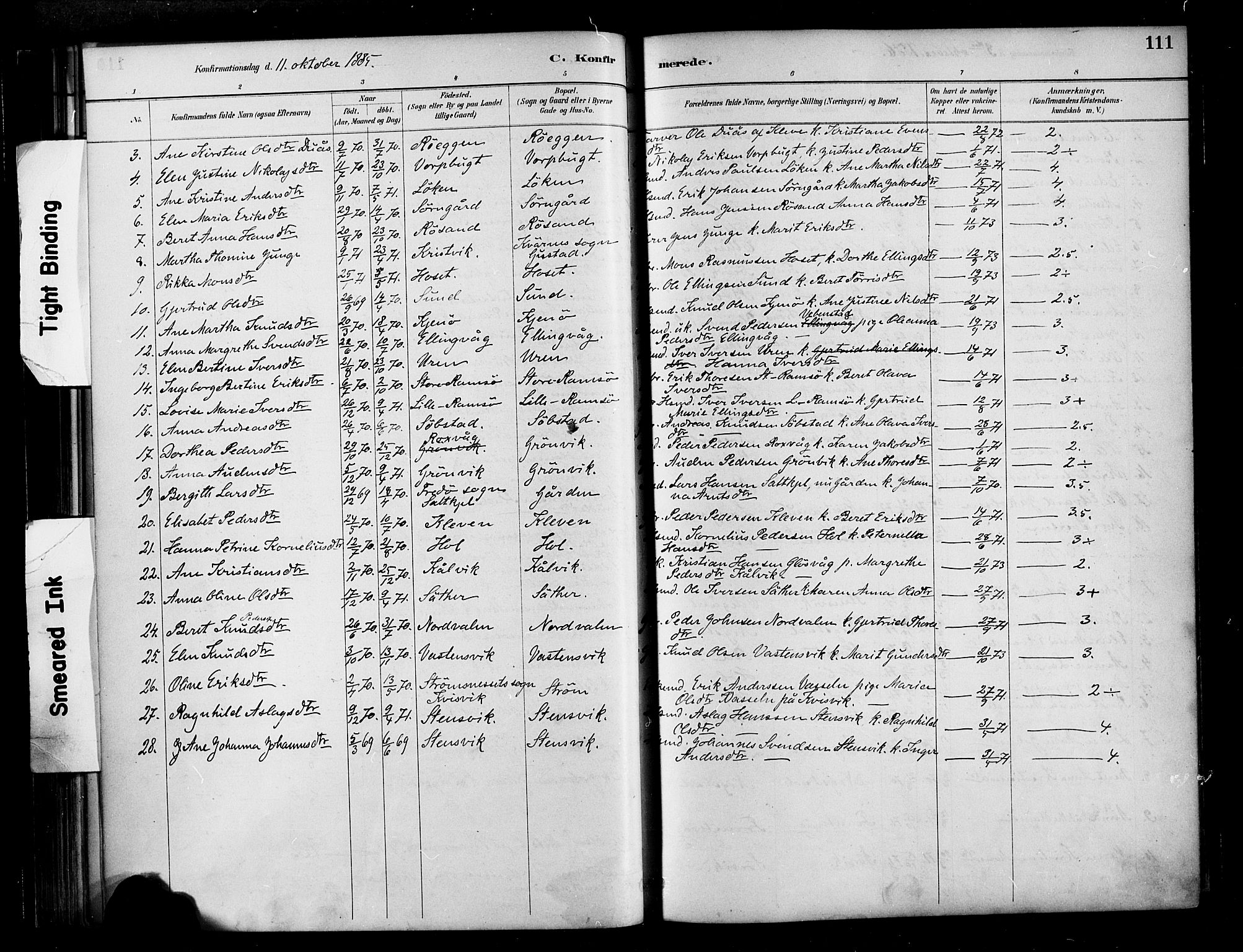 Ministerialprotokoller, klokkerbøker og fødselsregistre - Møre og Romsdal, AV/SAT-A-1454/569/L0819: Parish register (official) no. 569A05, 1885-1899, p. 111