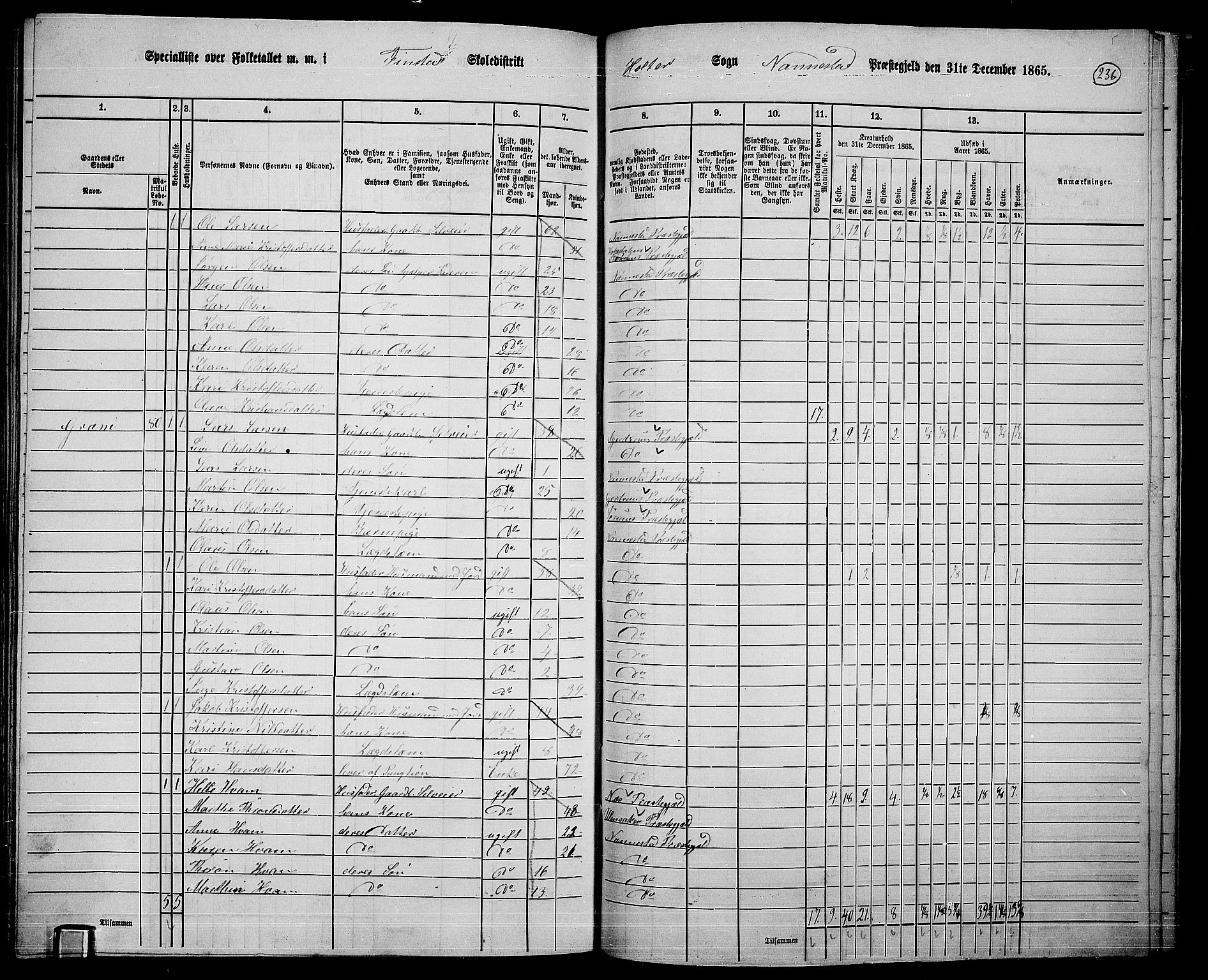 RA, 1865 census for Nannestad, 1865, p. 113