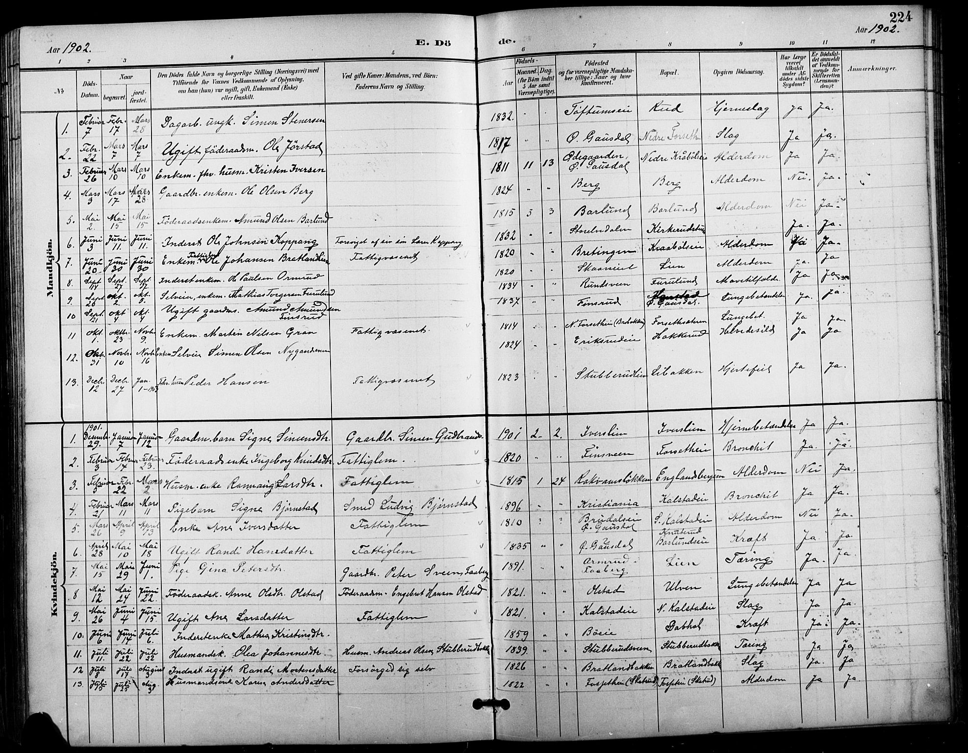 Vestre Gausdal prestekontor, SAH/PREST-094/H/Ha/Hab/L0003: Parish register (copy) no. 3, 1896-1925, p. 224