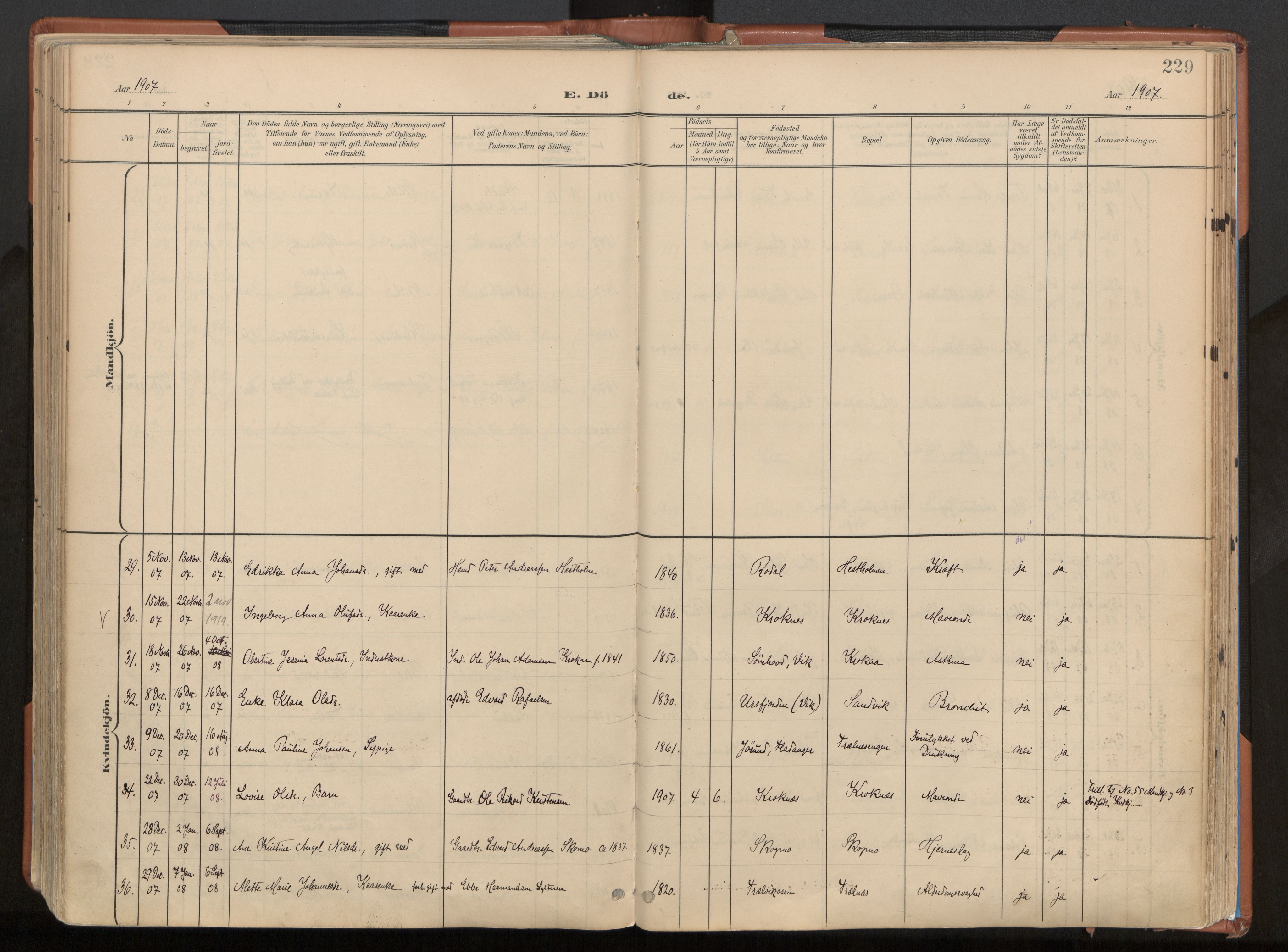 Ministerialprotokoller, klokkerbøker og fødselsregistre - Nordland, AV/SAT-A-1459/813/L0201: Parish register (official) no. 813A11, 1901-1918, p. 229