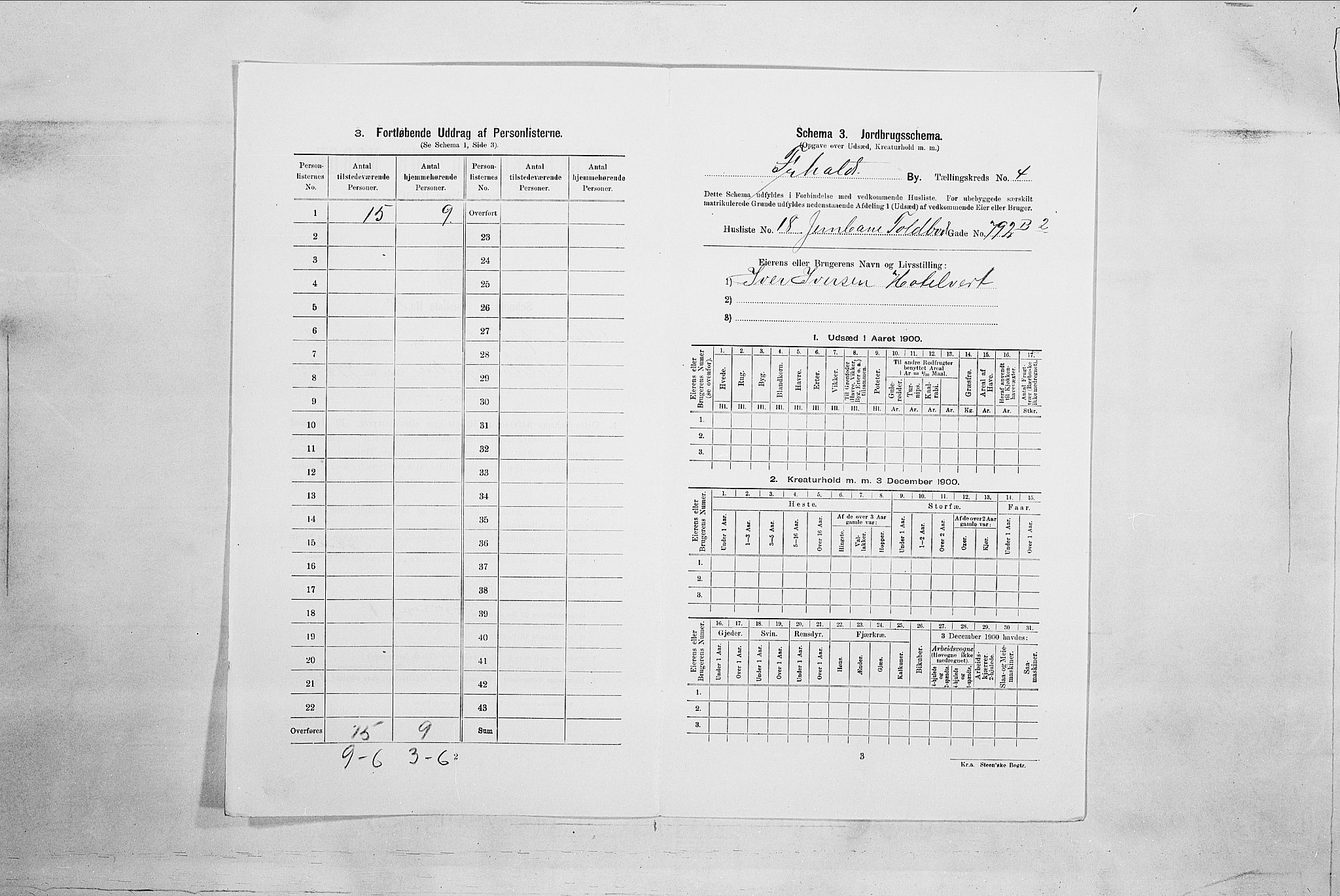 SAO, 1900 census for Fredrikshald, 1900