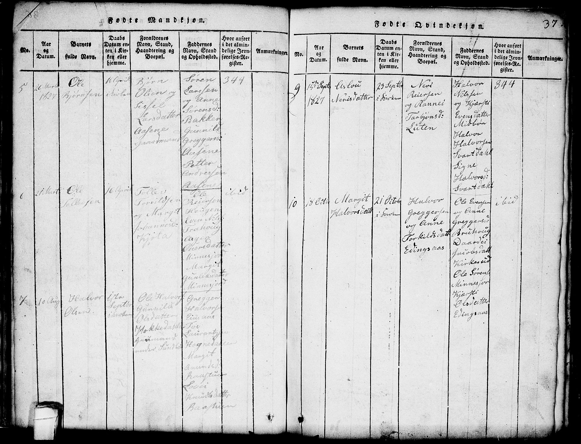 Seljord kirkebøker, SAKO/A-20/G/Gb/L0002: Parish register (copy) no. II 2, 1815-1854, p. 37