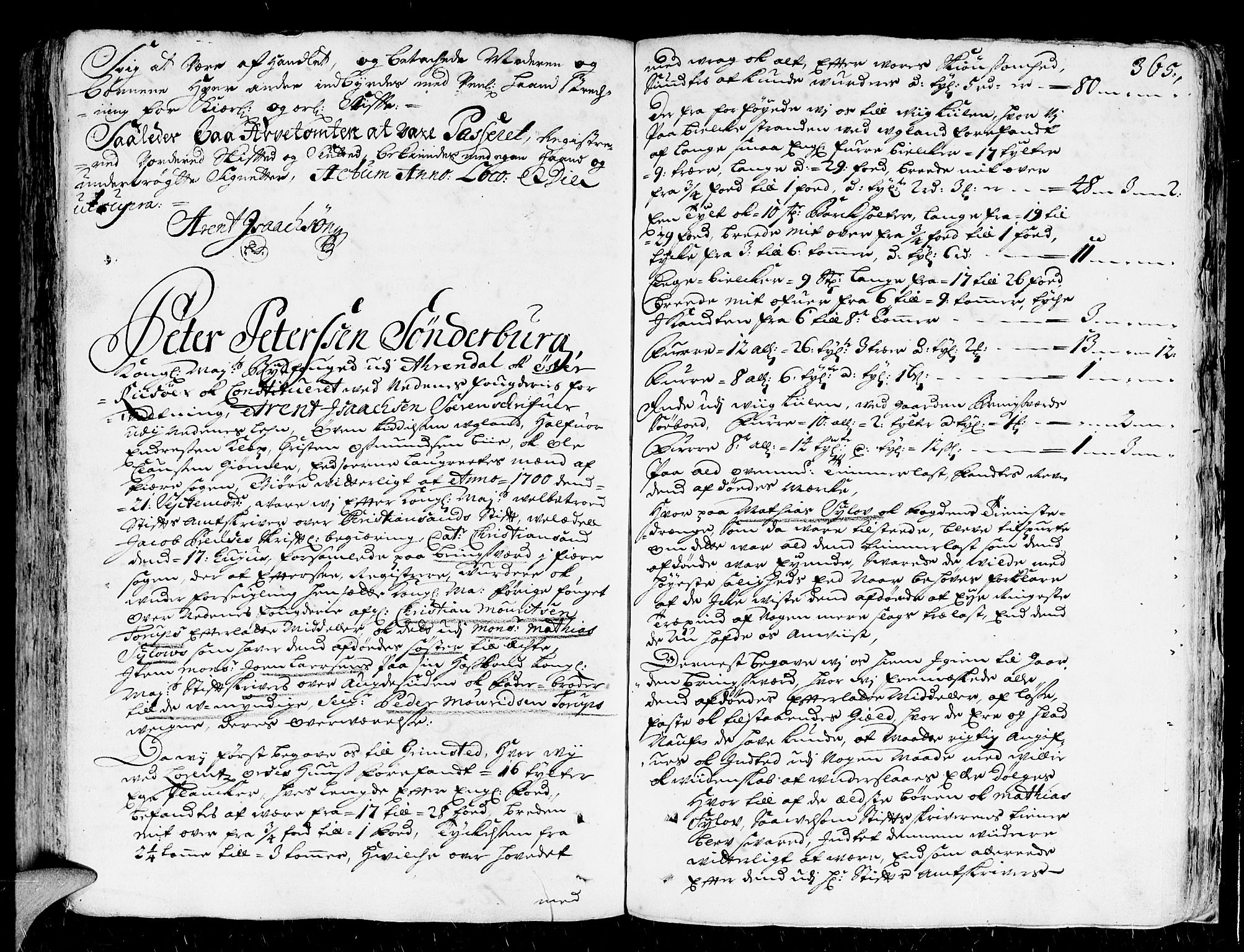 Nedenes sorenskriveri før 1824, SAK/1221-0007/H/Hc/L0002: Skifteprotokoll med register nr 2, 1698-1701, p. 364b-365a