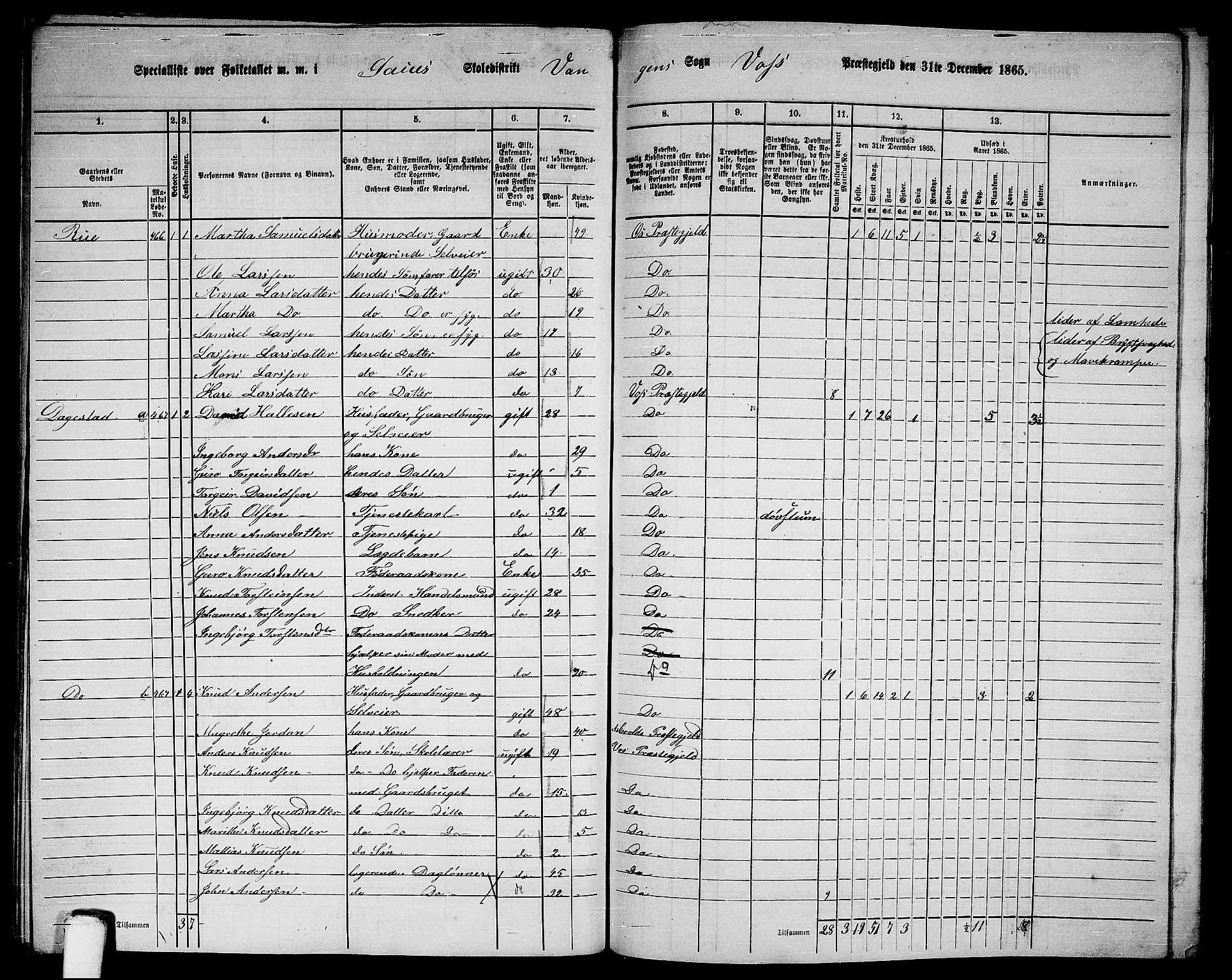 RA, 1865 census for Voss, 1865, p. 207