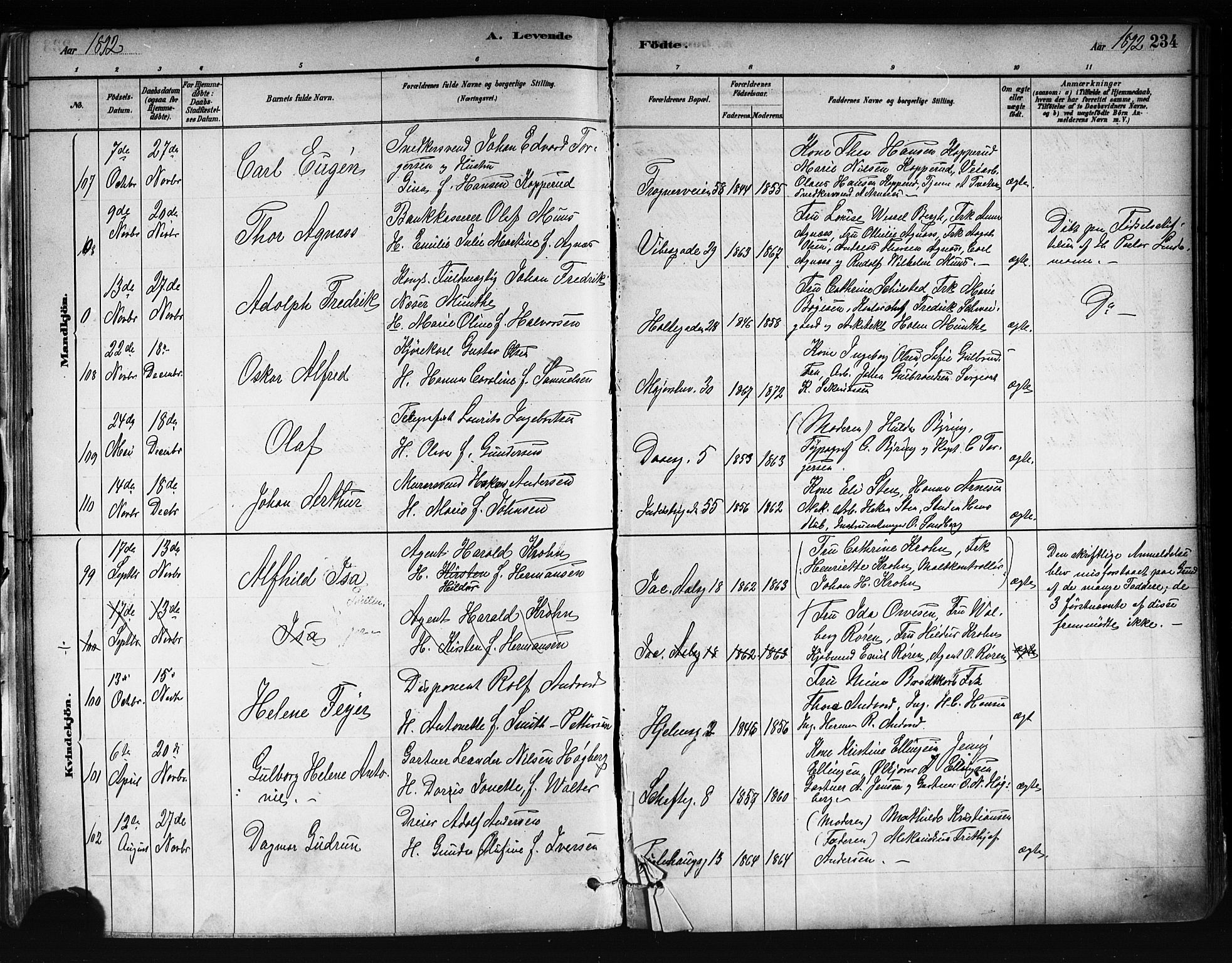 Uranienborg prestekontor Kirkebøker, AV/SAO-A-10877/F/Fa/L0001: Parish register (official) no. 1, 1880-1895, p. 234