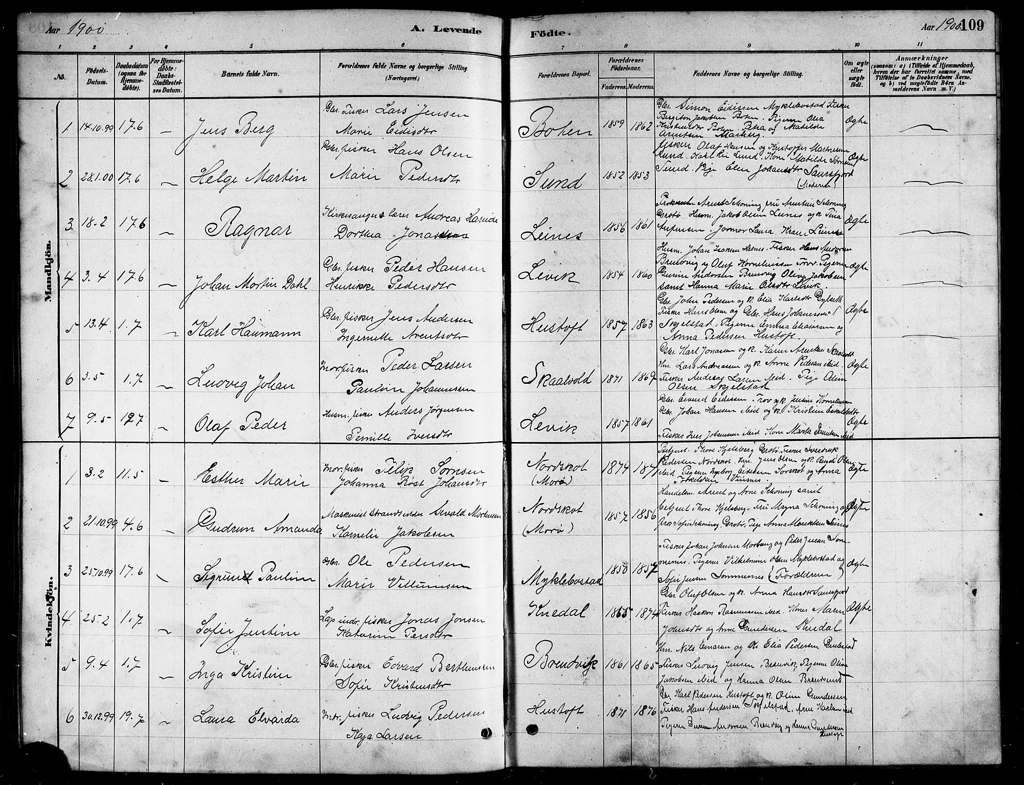 Ministerialprotokoller, klokkerbøker og fødselsregistre - Nordland, SAT/A-1459/857/L0828: Parish register (copy) no. 857C03, 1879-1908, p. 109