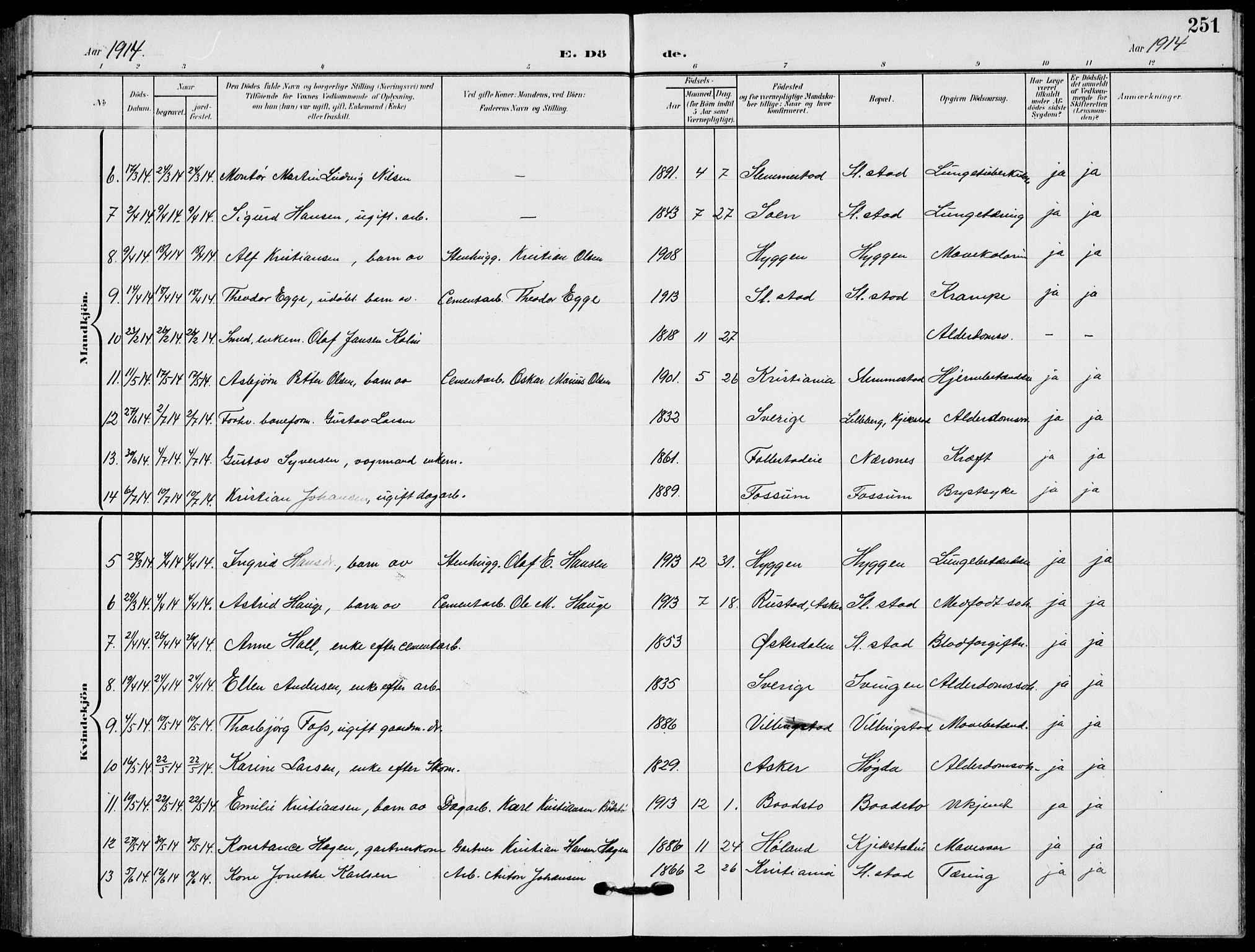 Røyken kirkebøker, AV/SAKO-A-241/G/Ga/L0005: Parish register (copy) no. 5, 1903-1918, p. 251