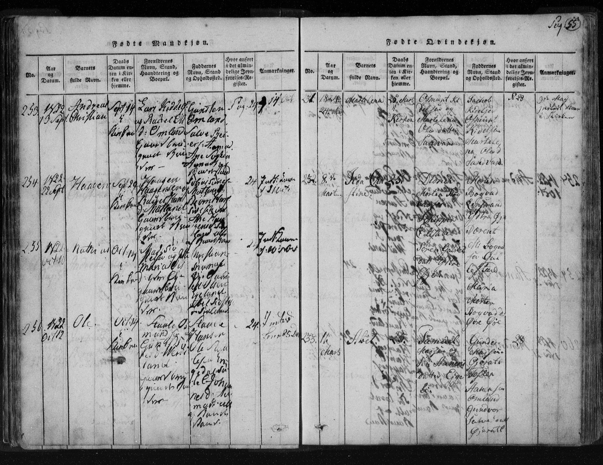 Kvinesdal sokneprestkontor, AV/SAK-1111-0026/F/Fa/Fab/L0003: Parish register (official) no. A 3, 1815-1829, p. 55