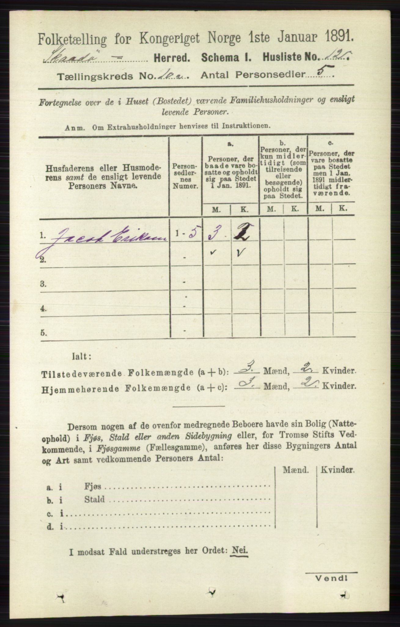 RA, 1891 census for 0815 Skåtøy, 1891, p. 4025