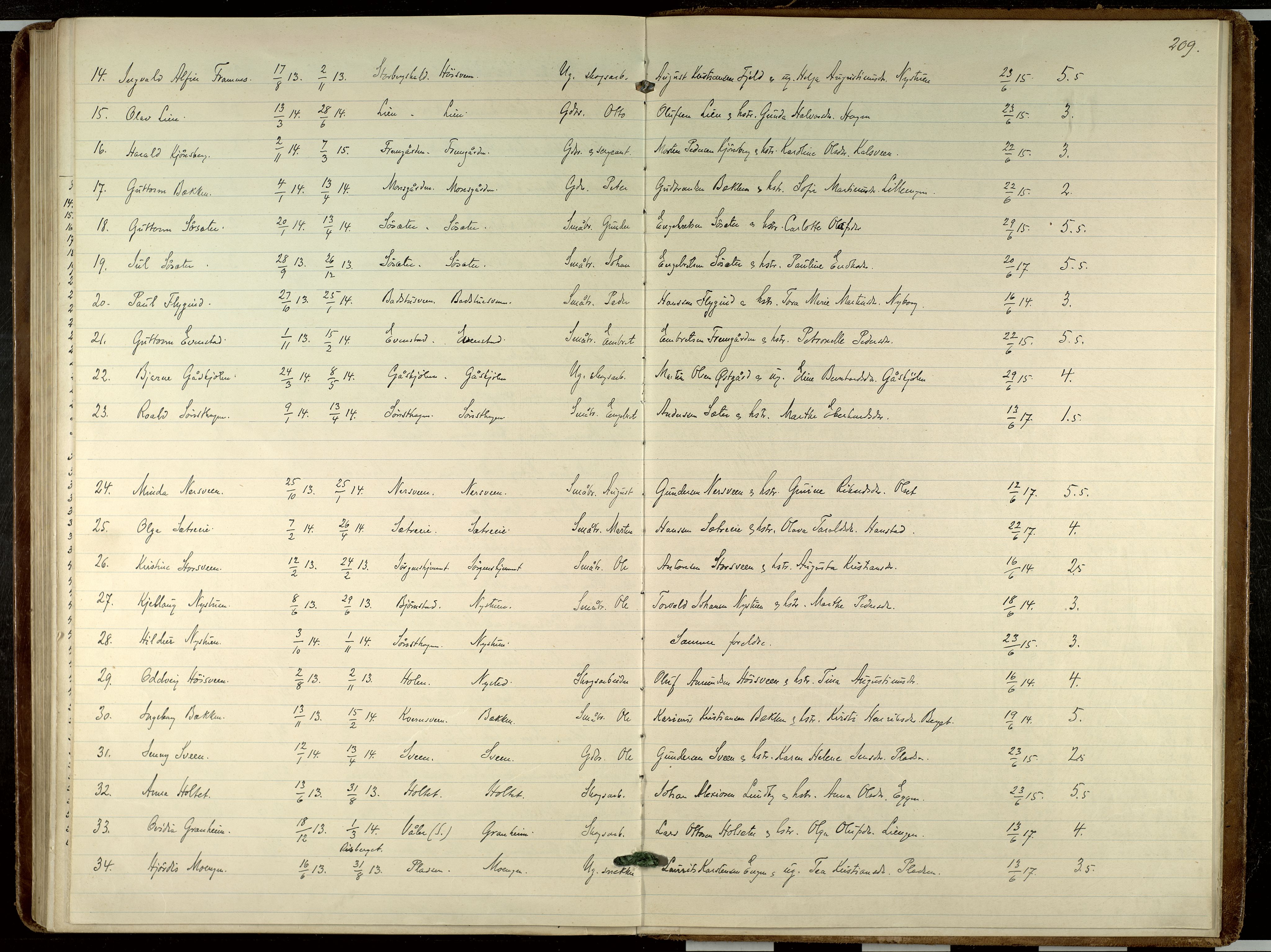 Elverum prestekontor, AV/SAH-PREST-044/H/Ha/Haa/L0023: Parish register (official) no. 23, 1914-1929, p. 209