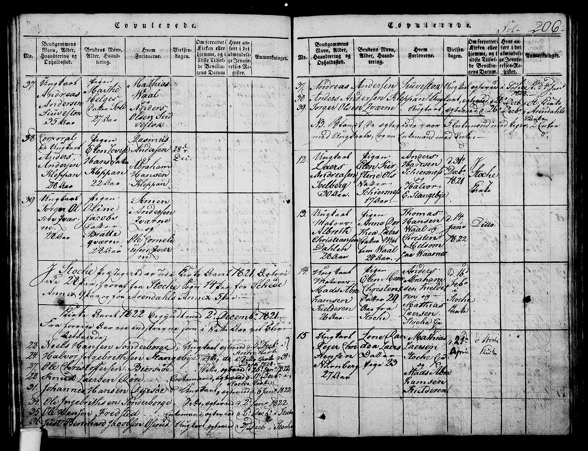 Stokke kirkebøker, AV/SAKO-A-320/F/Fa/L0005: Parish register (official) no. I 5, 1815-1826, p. 206