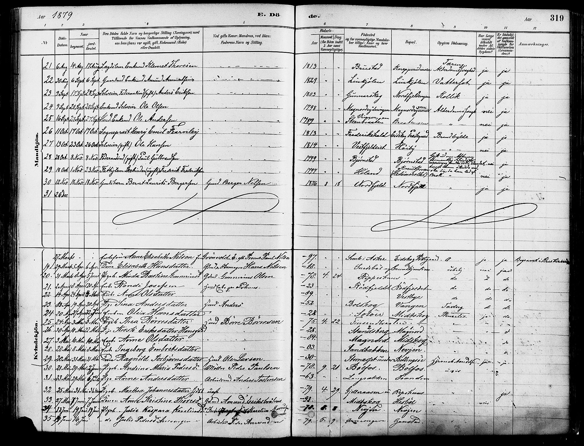 Eidskog prestekontor, SAH/PREST-026/H/Ha/Haa/L0003: Parish register (official) no. 3, 1879-1892, p. 319