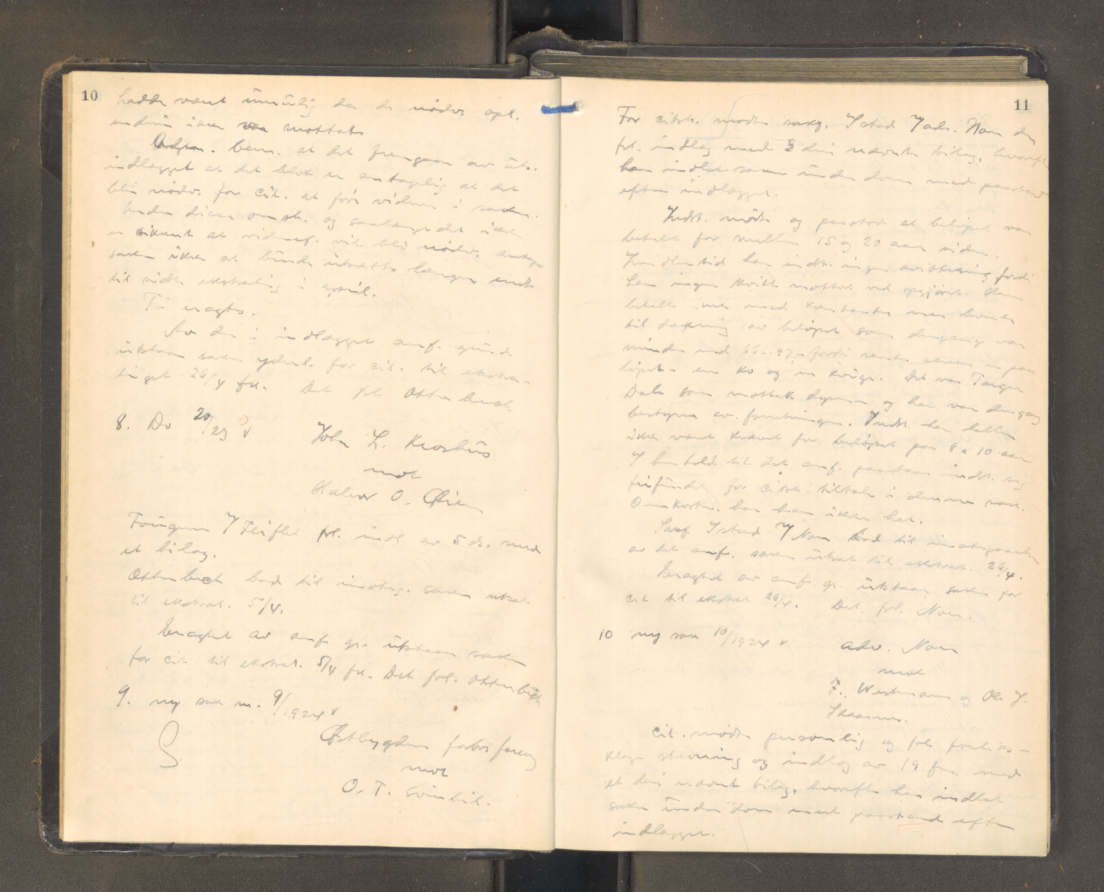 Heddal sorenskriveri, AV/SAKO-A-211/F/Fa/Faa/L0002: Tingbok, 1924-1925, p. 10-11