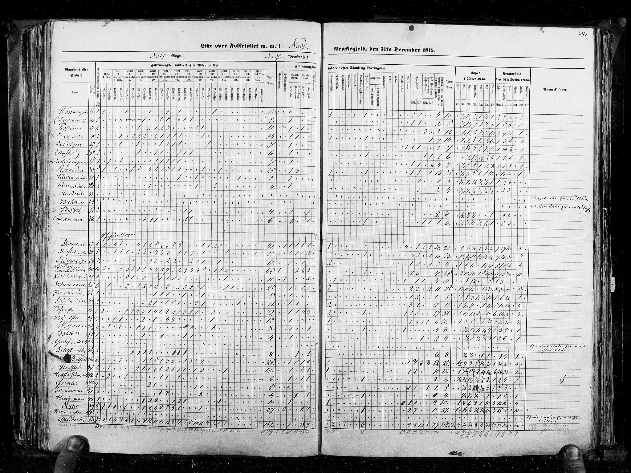 RA, Census 1845, vol. 3: Hedemarken amt og Kristians amt, 1845, p. 241