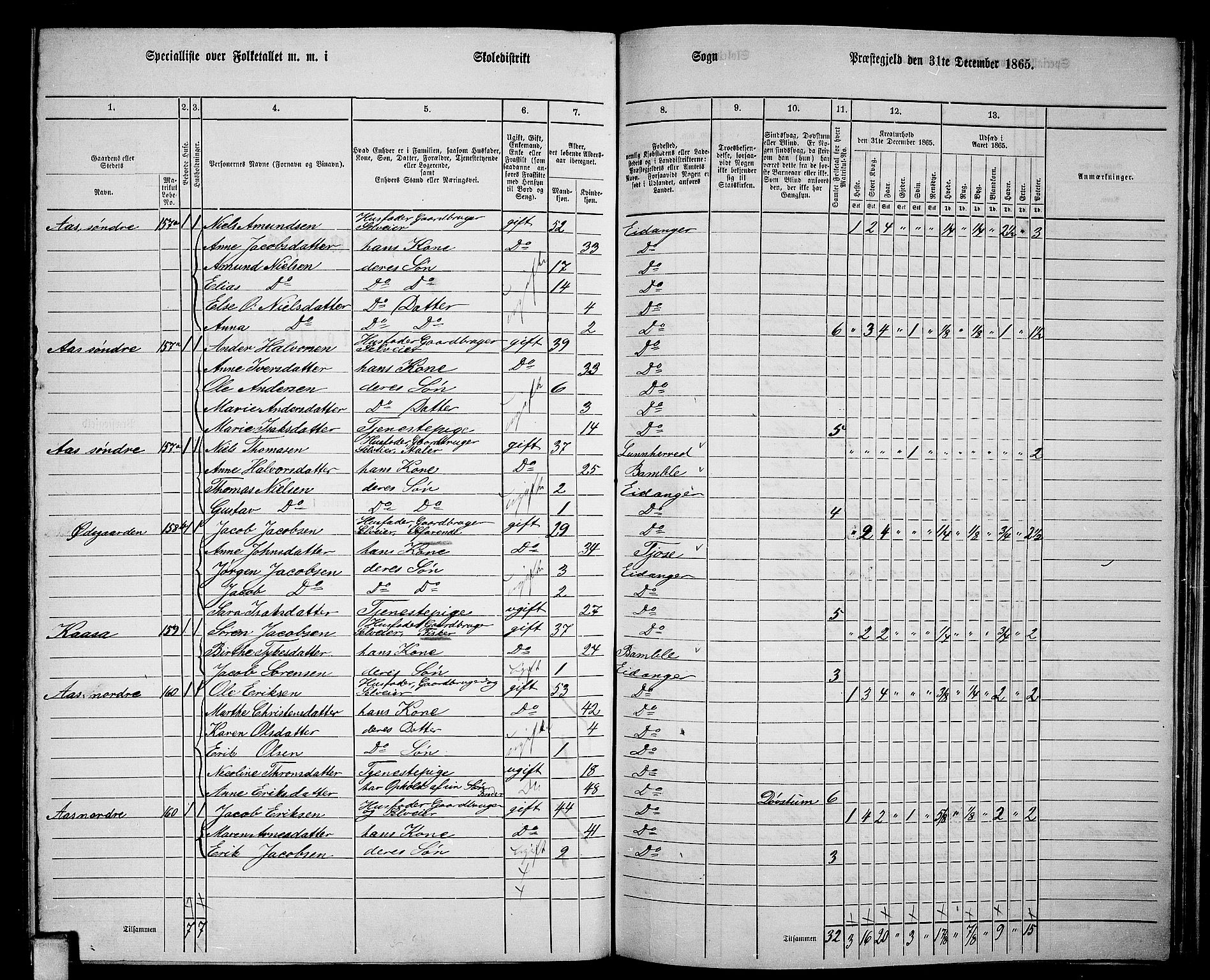 RA, 1865 census for Eidanger, 1865, p. 79