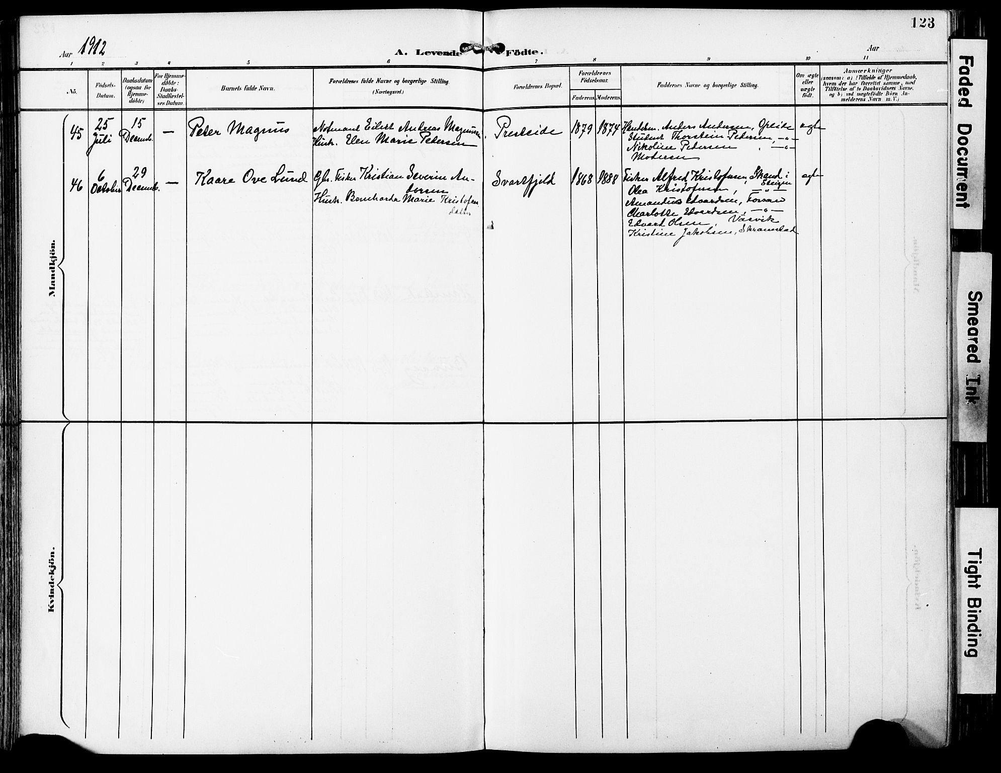 Ministerialprotokoller, klokkerbøker og fødselsregistre - Nordland, SAT/A-1459/859/L0848: Parish register (official) no. 859A08, 1900-1912, p. 123