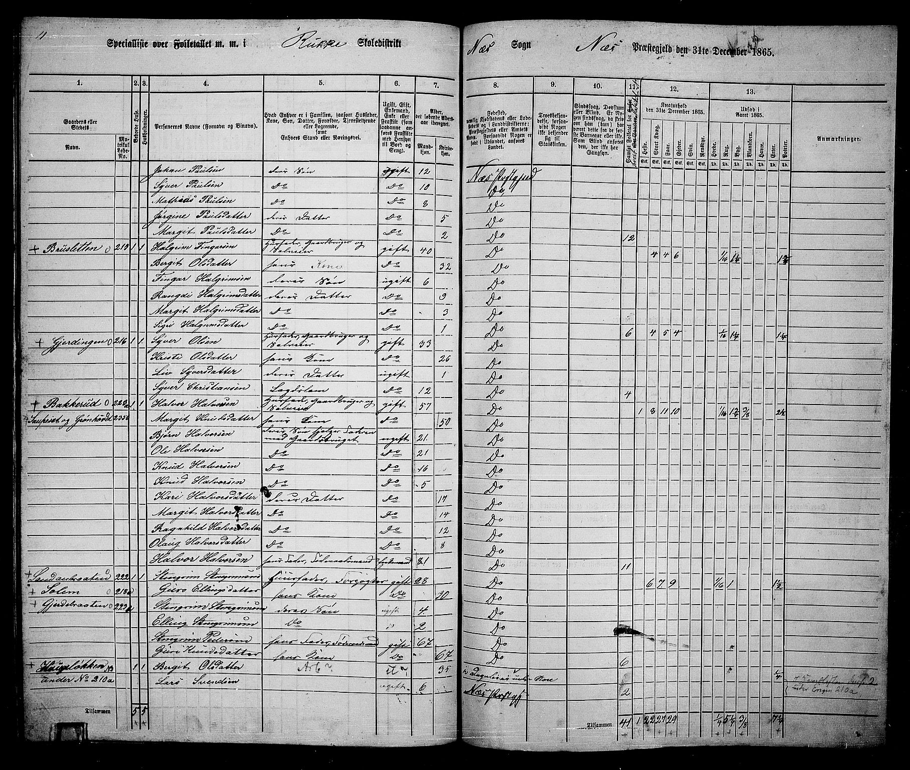 RA, 1865 census for Nes, 1865, p. 185