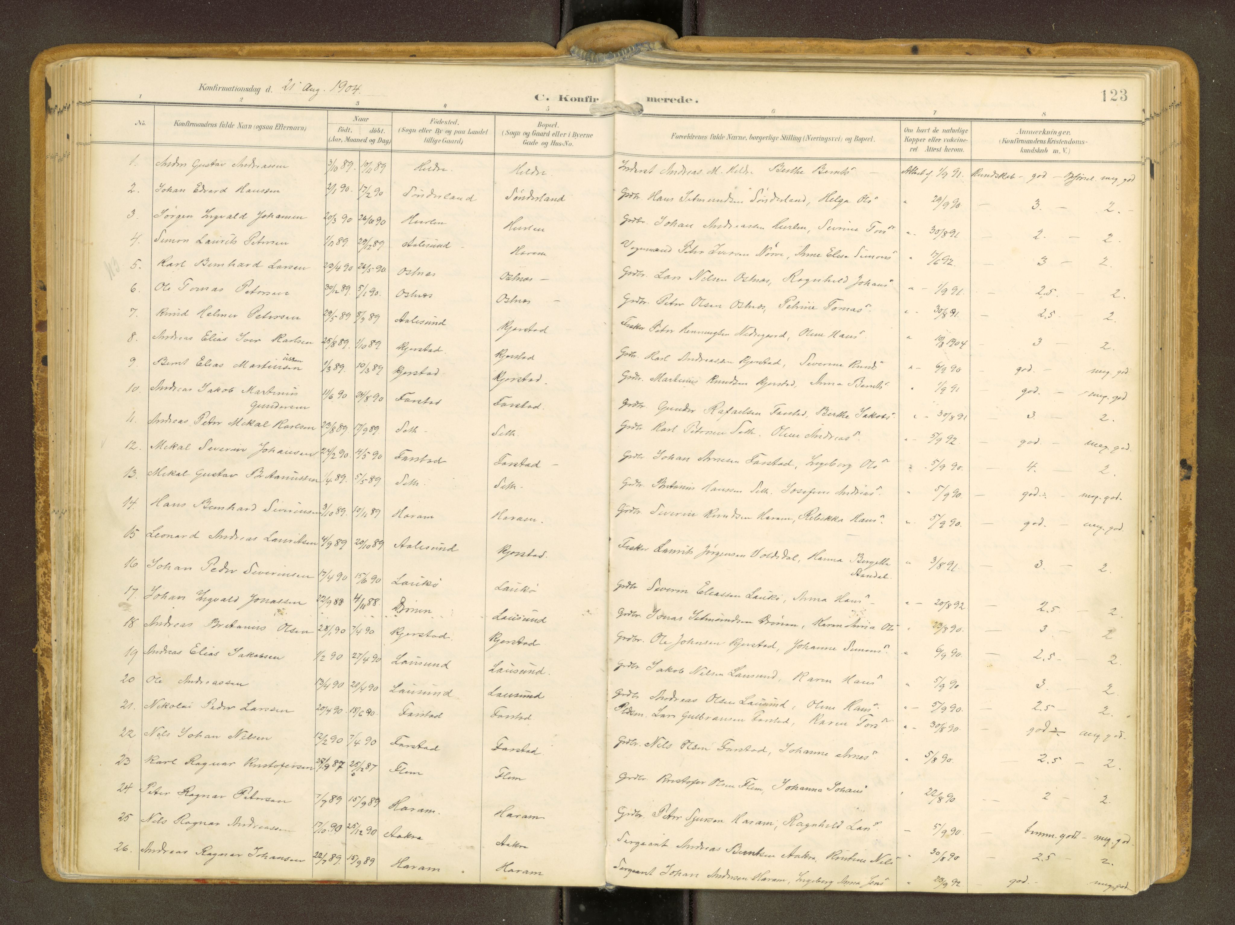 Ministerialprotokoller, klokkerbøker og fødselsregistre - Møre og Romsdal, AV/SAT-A-1454/536/L0517: Parish register (official) no. 536A--, 1897-1917, p. 123