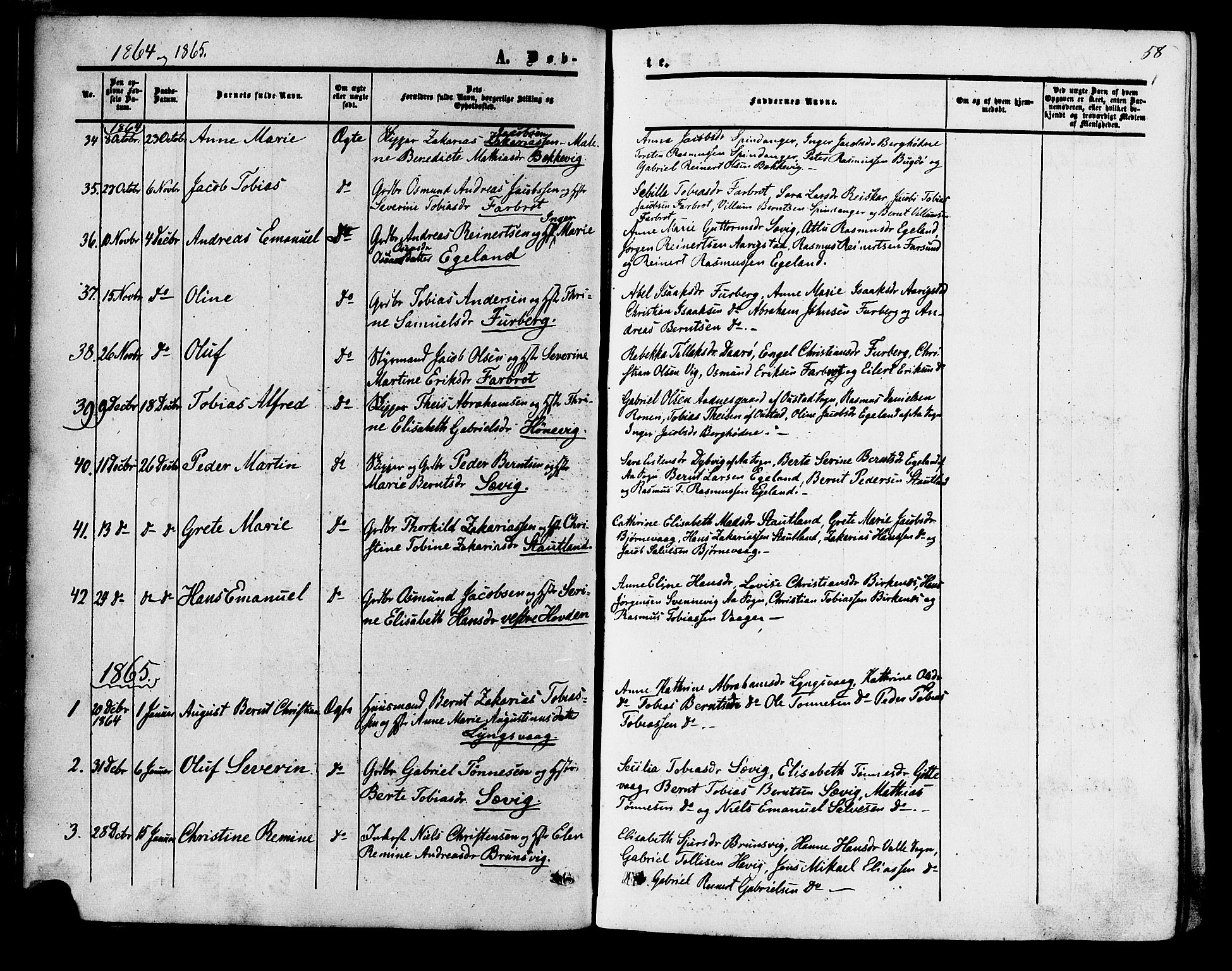 Herad sokneprestkontor, SAK/1111-0018/F/Fa/Fab/L0004: Parish register (official) no. A 4, 1853-1885, p. 58