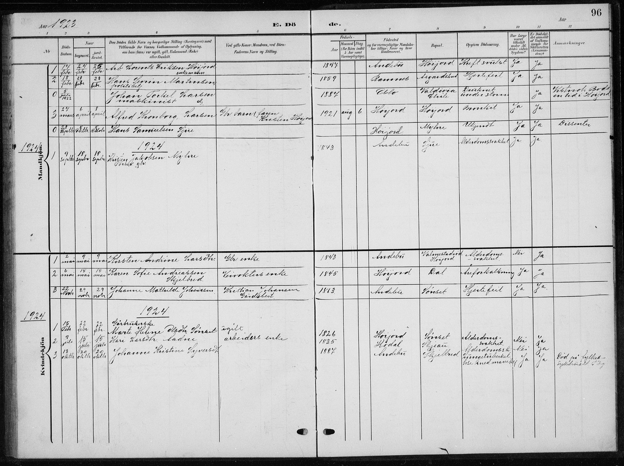 Andebu kirkebøker, SAKO/A-336/G/Gb/L0001: Parish register (copy) no. II 1, 1901-1936, p. 96