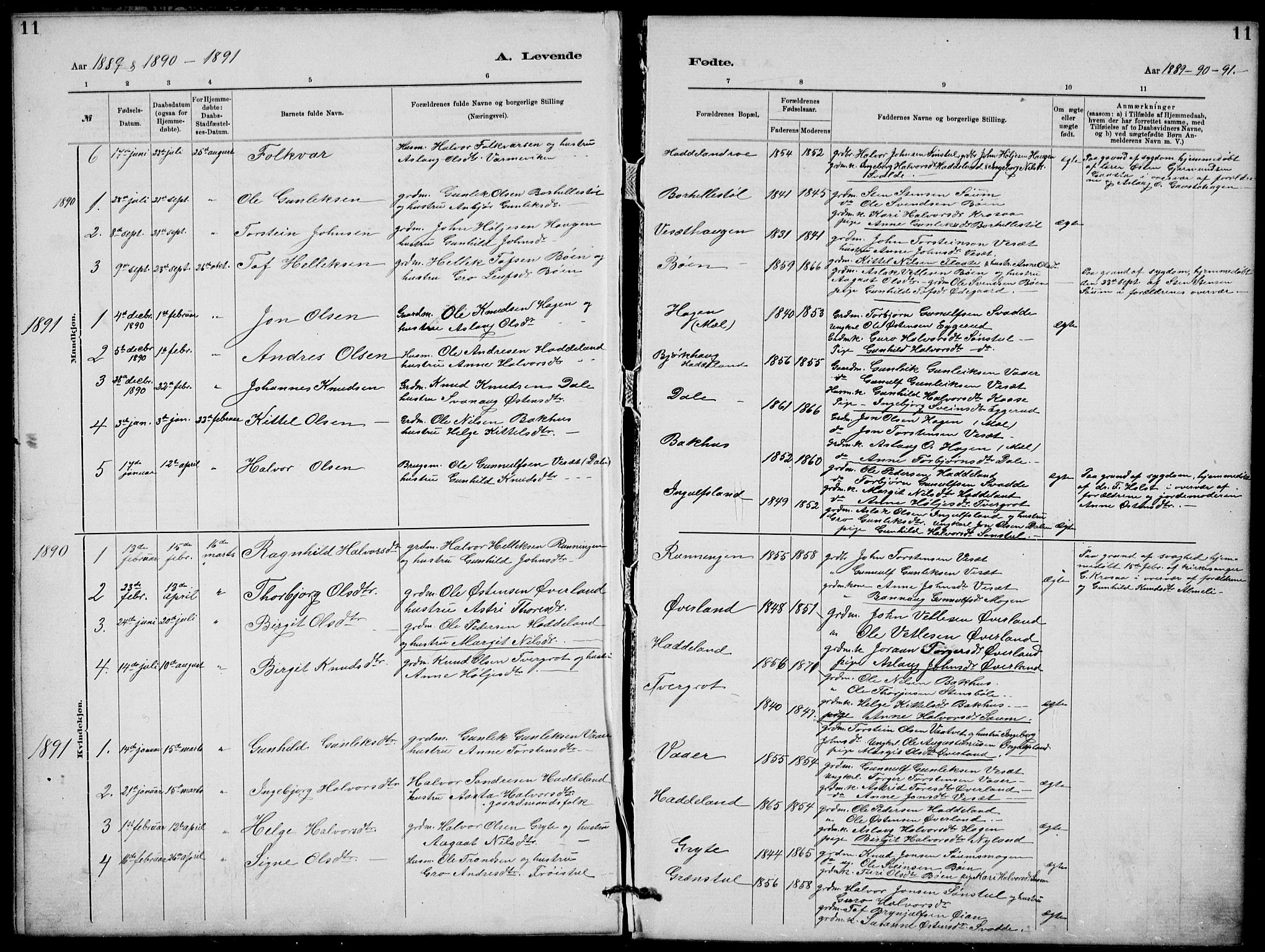 Rjukan kirkebøker, SAKO/A-294/G/Ga/L0001: Parish register (copy) no. 1, 1880-1914, p. 11