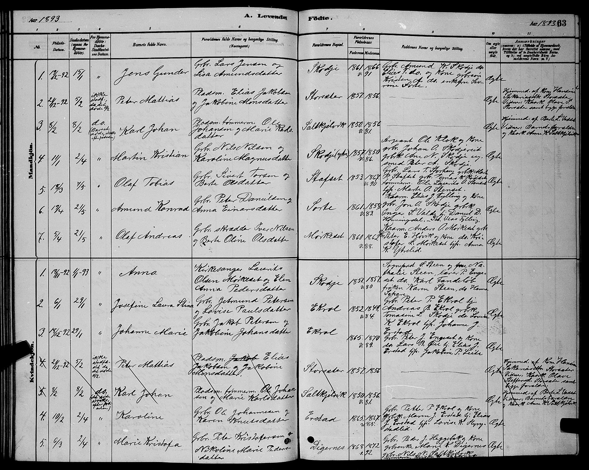 Ministerialprotokoller, klokkerbøker og fødselsregistre - Møre og Romsdal, AV/SAT-A-1454/524/L0365: Parish register (copy) no. 524C06, 1880-1899, p. 63