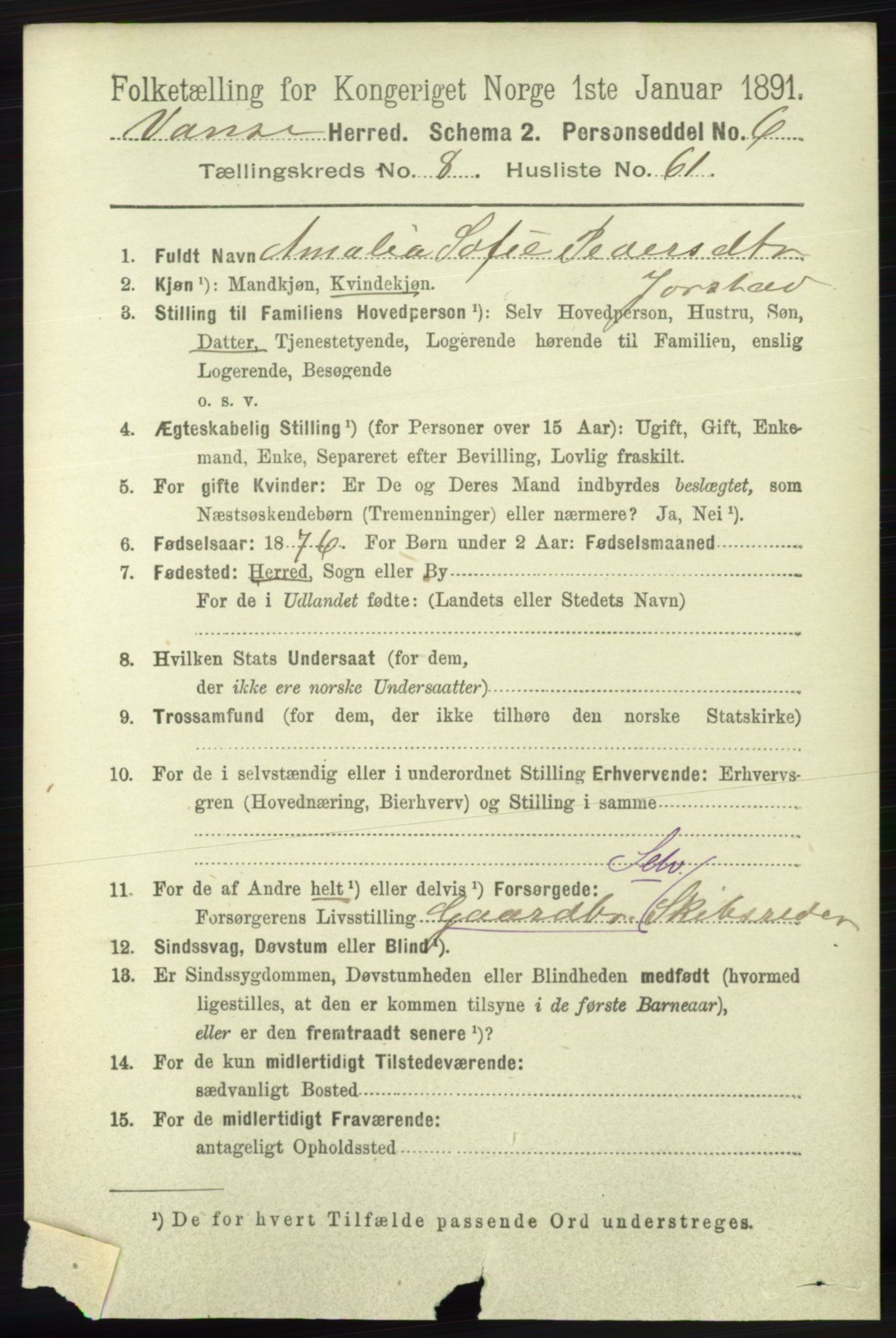 RA, 1891 census for 1041 Vanse, 1891, p. 5208