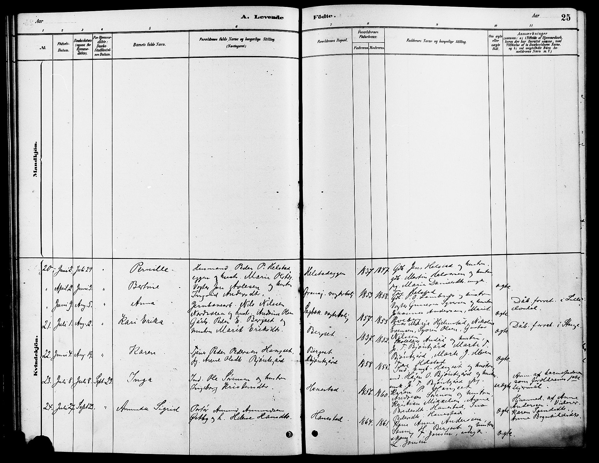 Rendalen prestekontor, AV/SAH-PREST-054/H/Ha/Hab/L0003: Parish register (copy) no. 3, 1879-1904, p. 25