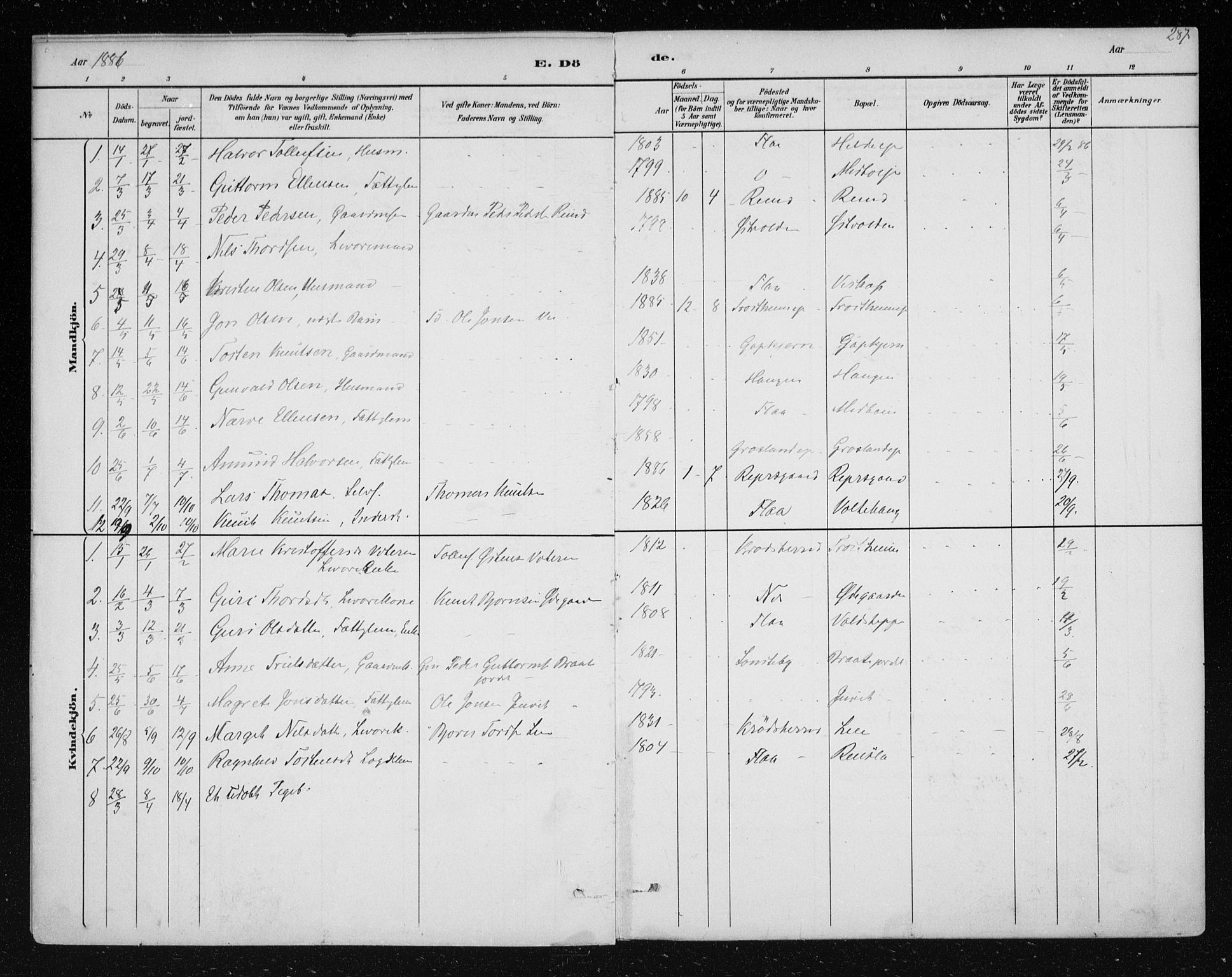 Nes kirkebøker, AV/SAKO-A-236/F/Fa/L0012: Parish register (official) no. 12, 1881-1917, p. 287