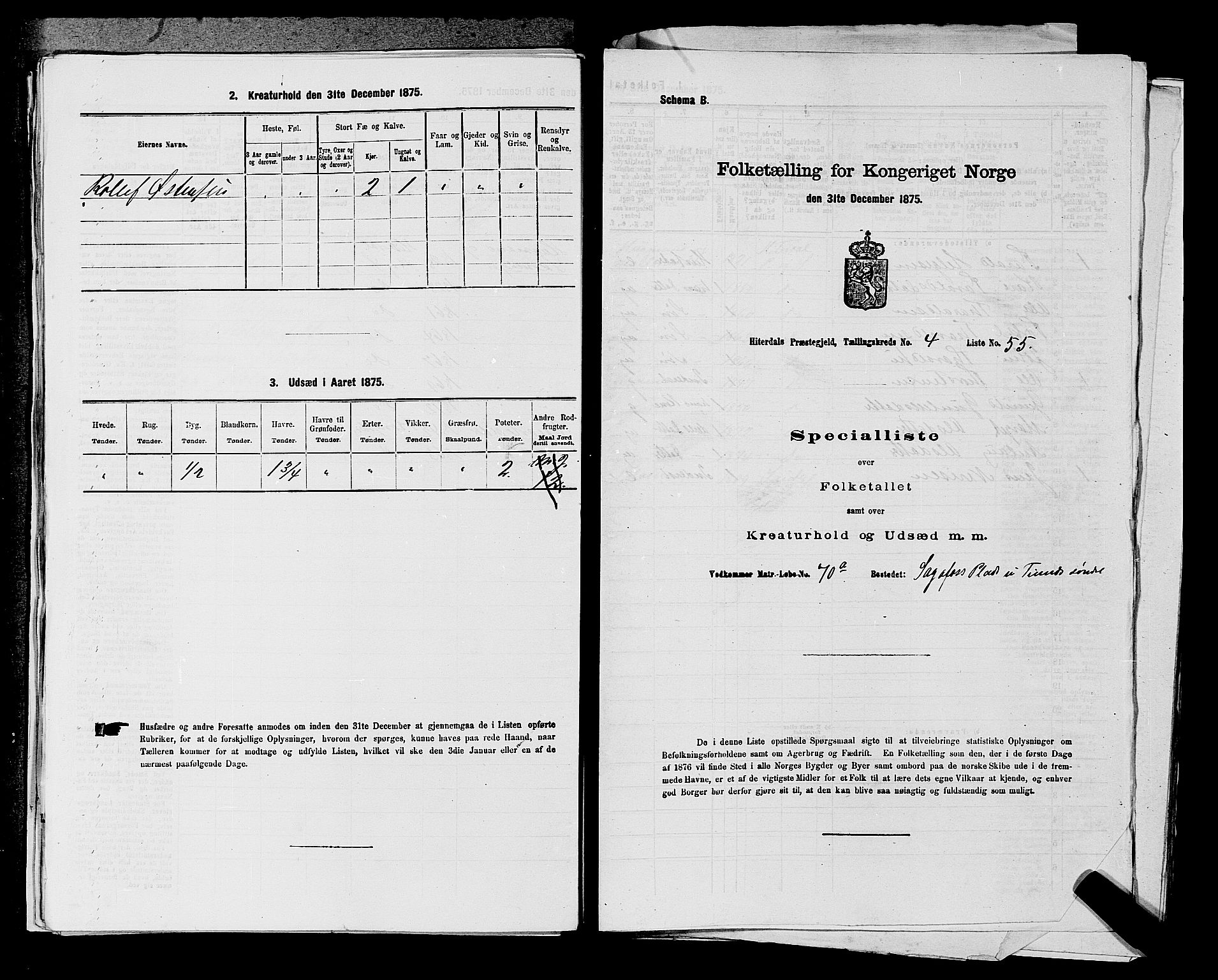 SAKO, 1875 census for 0823P Heddal, 1875, p. 694