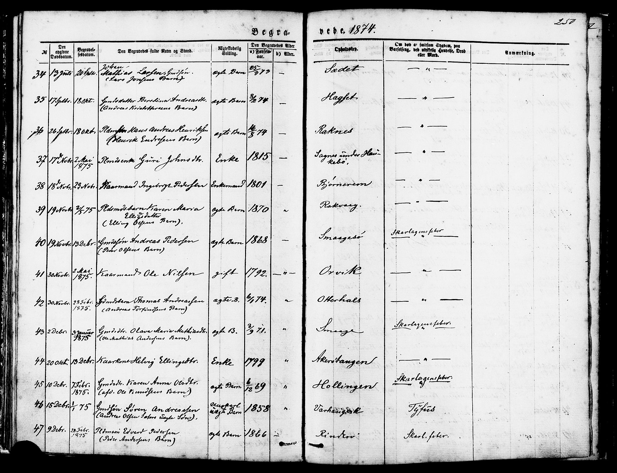 Ministerialprotokoller, klokkerbøker og fødselsregistre - Møre og Romsdal, AV/SAT-A-1454/560/L0720: Parish register (official) no. 560A04, 1873-1878, p. 250