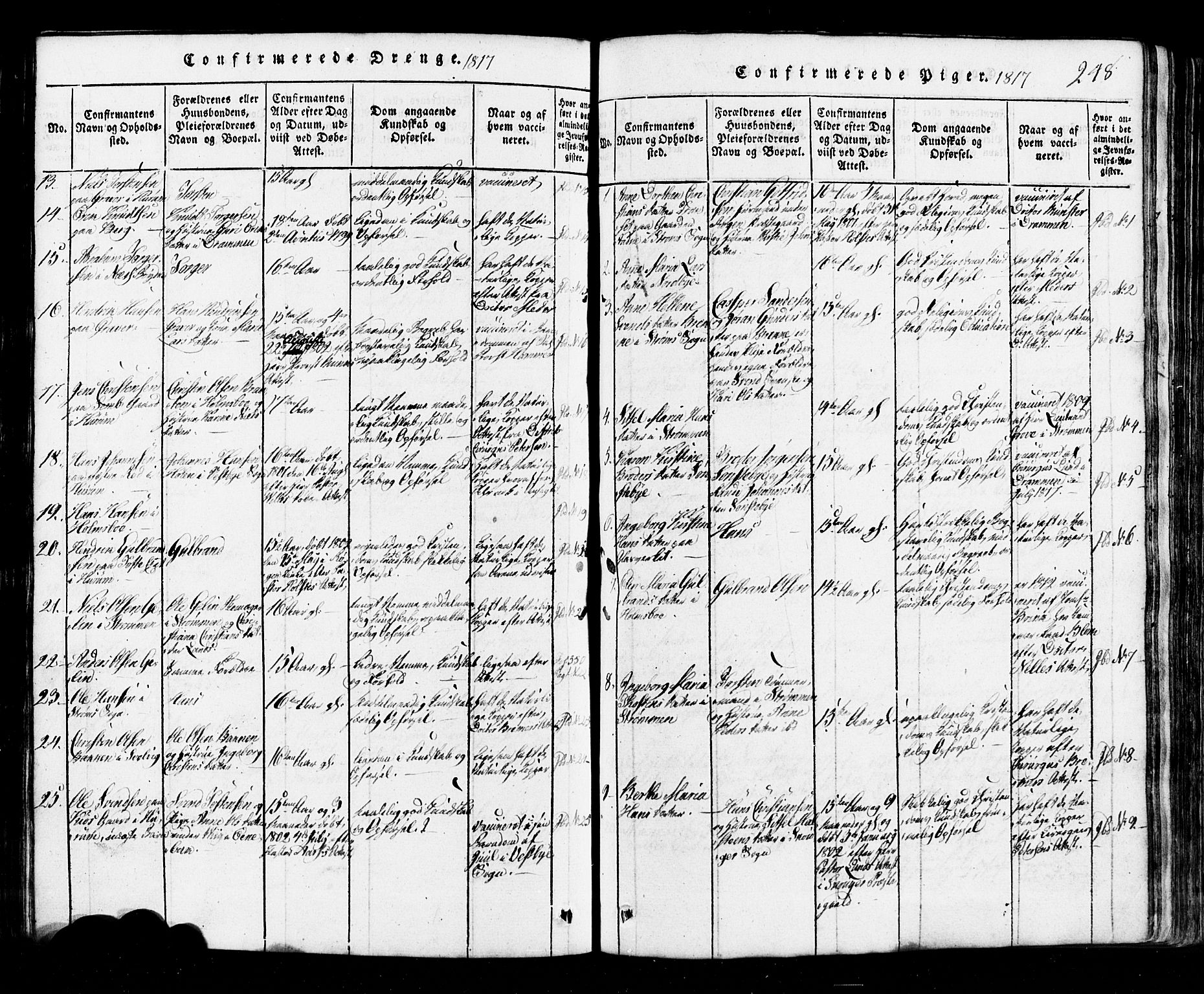 Hurum kirkebøker, AV/SAKO-A-229/G/Ga/L0001: Parish register (copy) no. I 1, 1816-1826, p. 248