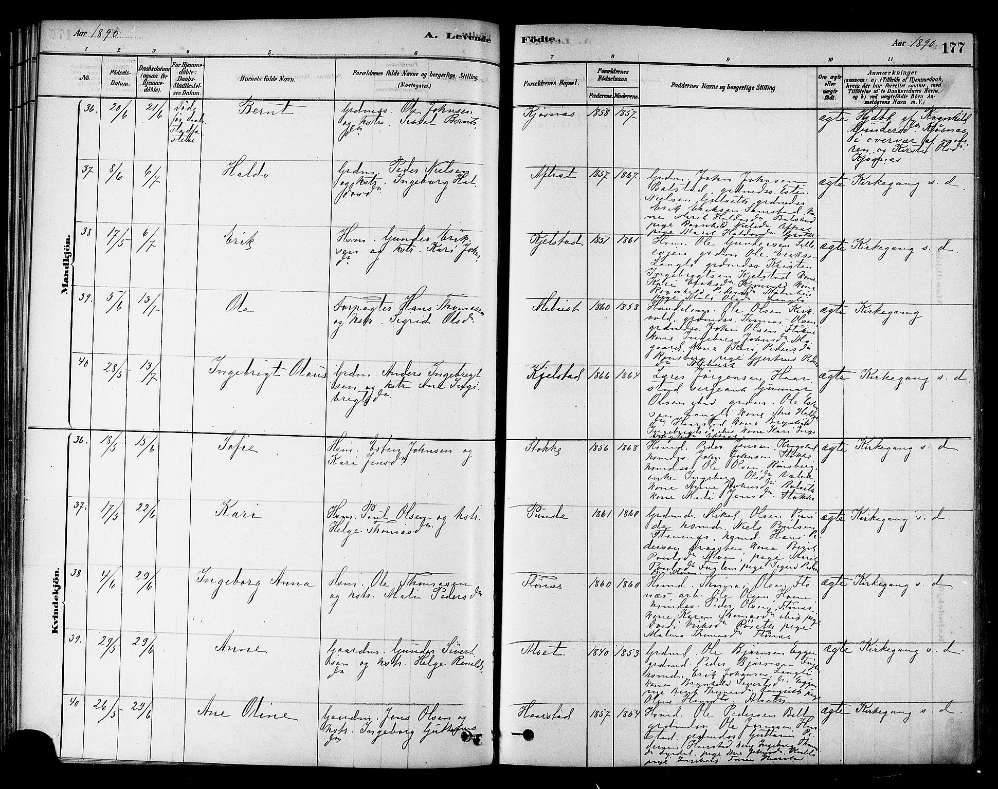 Ministerialprotokoller, klokkerbøker og fødselsregistre - Sør-Trøndelag, AV/SAT-A-1456/695/L1148: Parish register (official) no. 695A08, 1878-1891, p. 177