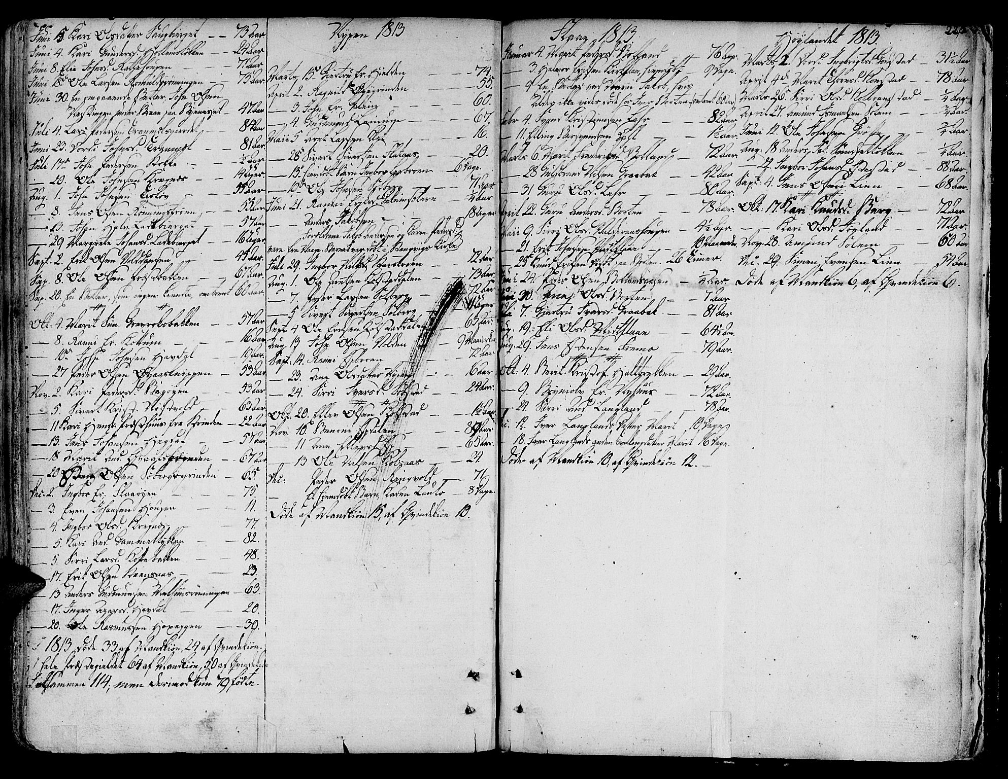 Ministerialprotokoller, klokkerbøker og fødselsregistre - Sør-Trøndelag, SAT/A-1456/691/L1061: Parish register (official) no. 691A02 /1, 1768-1815, p. 225
