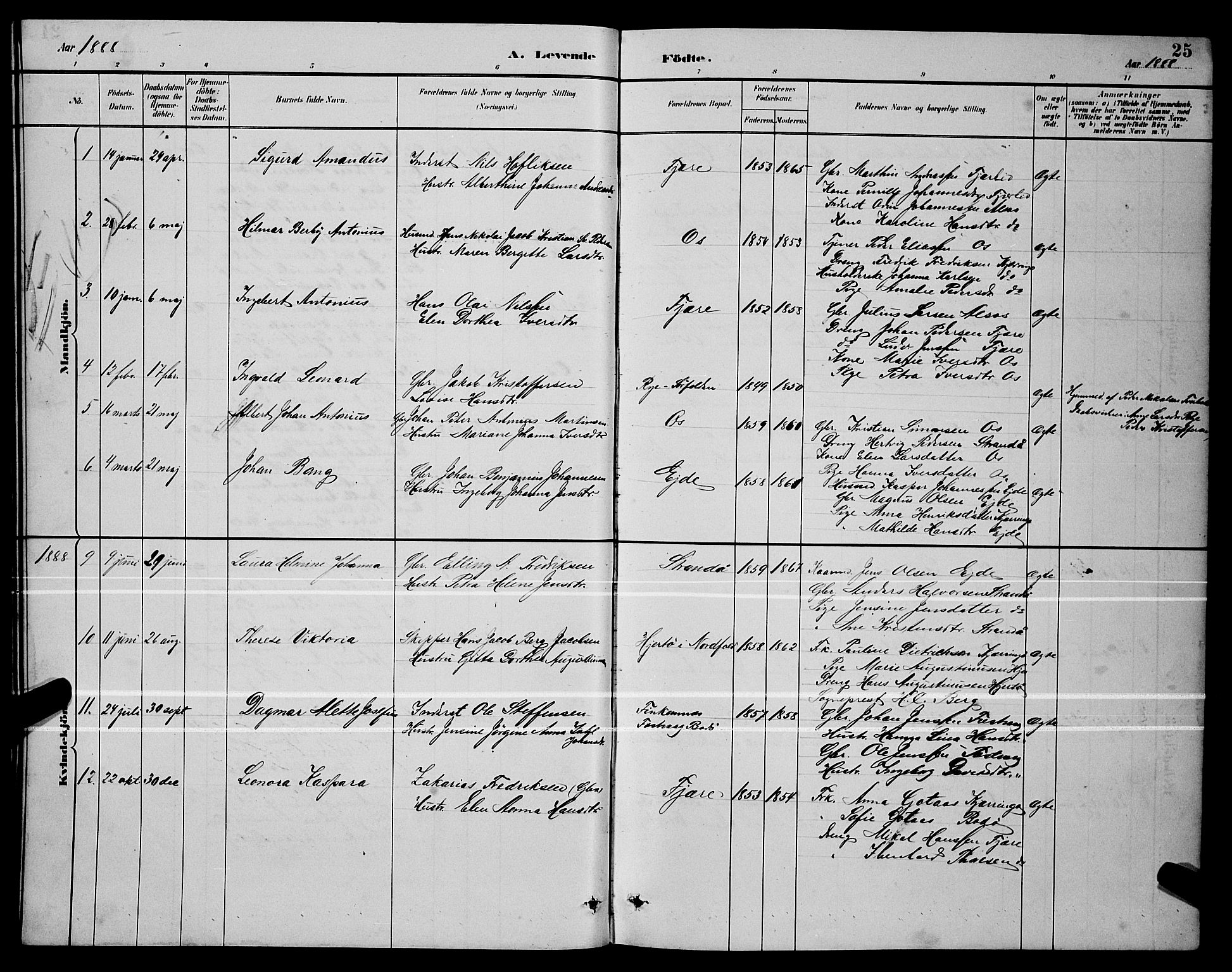 Ministerialprotokoller, klokkerbøker og fødselsregistre - Nordland, AV/SAT-A-1459/803/L0076: Parish register (copy) no. 803C03, 1882-1897, p. 25