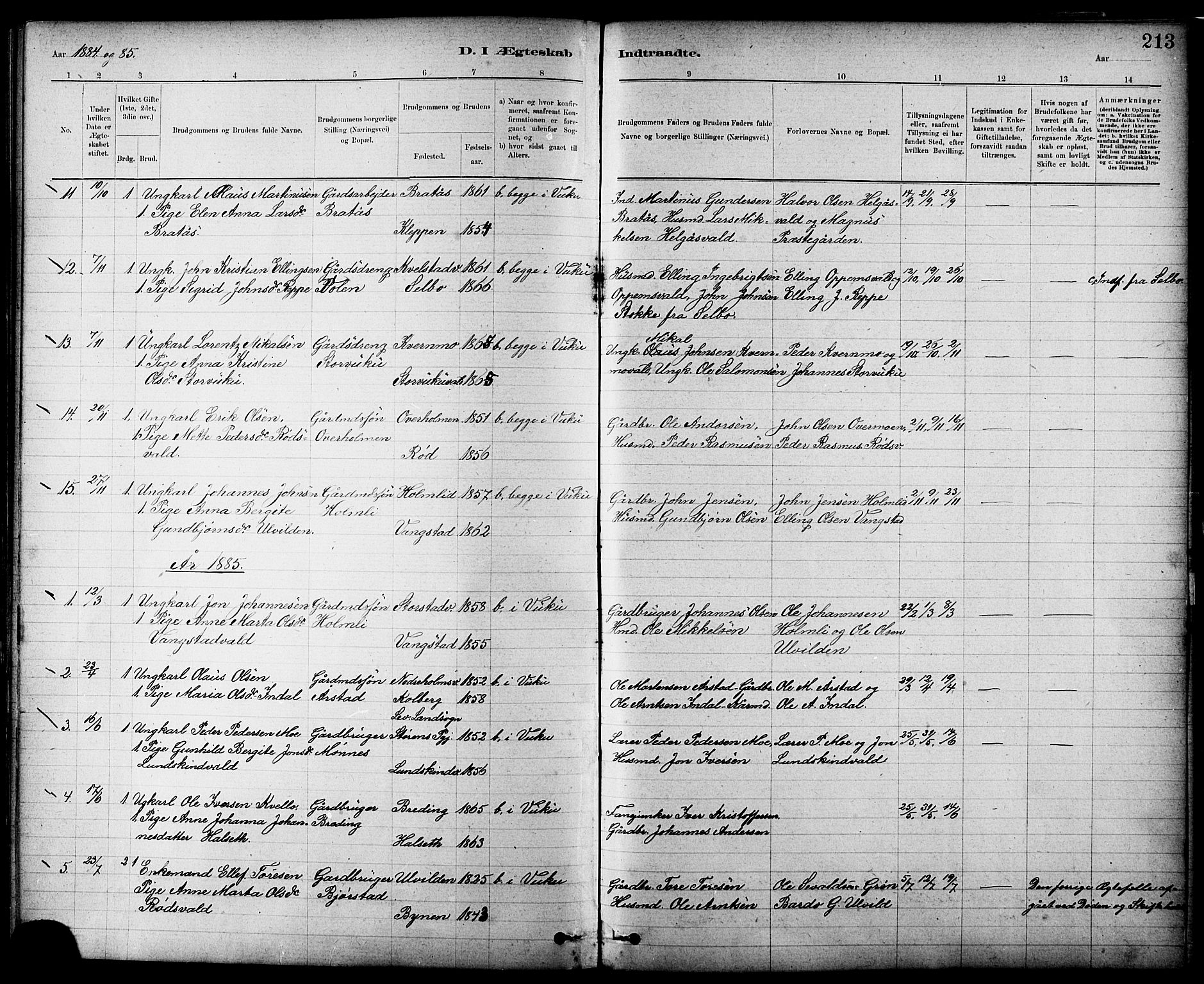 Ministerialprotokoller, klokkerbøker og fødselsregistre - Nord-Trøndelag, AV/SAT-A-1458/724/L0267: Parish register (copy) no. 724C03, 1879-1898, p. 213