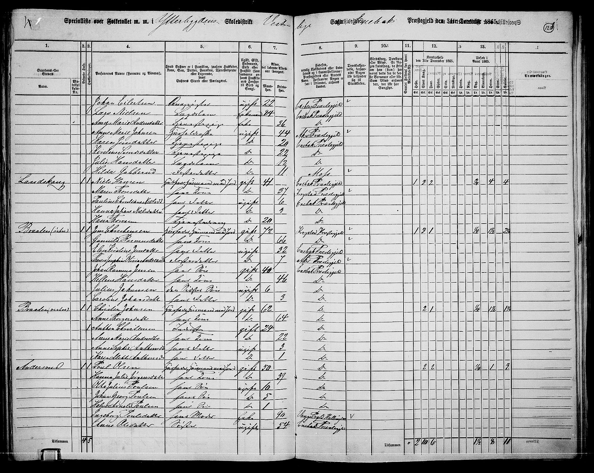 RA, 1865 census for Enebakk, 1865, p. 106